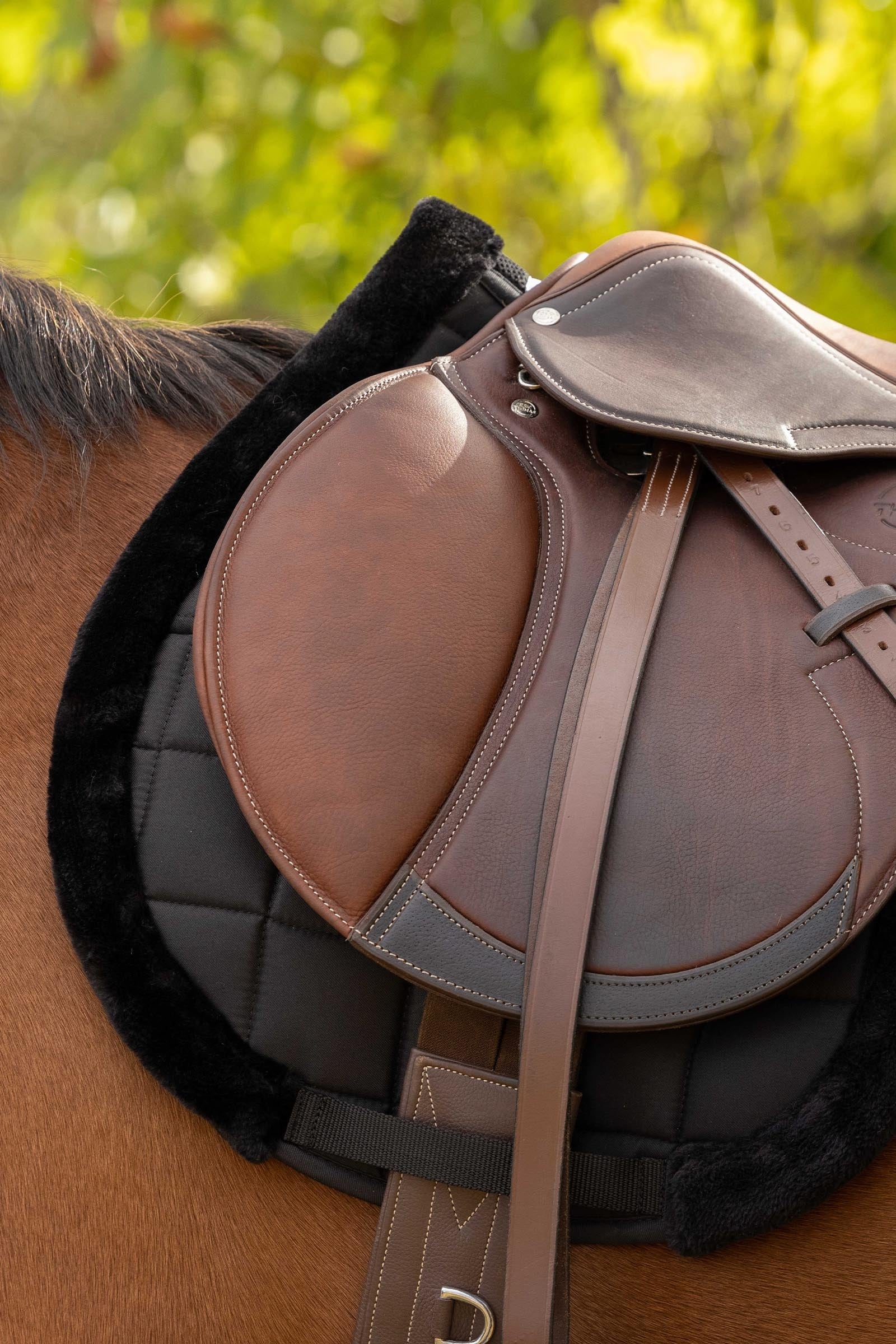 Equi Theme EQUITHÈME Pro Shaped Saddle Pad Saddle Pads
