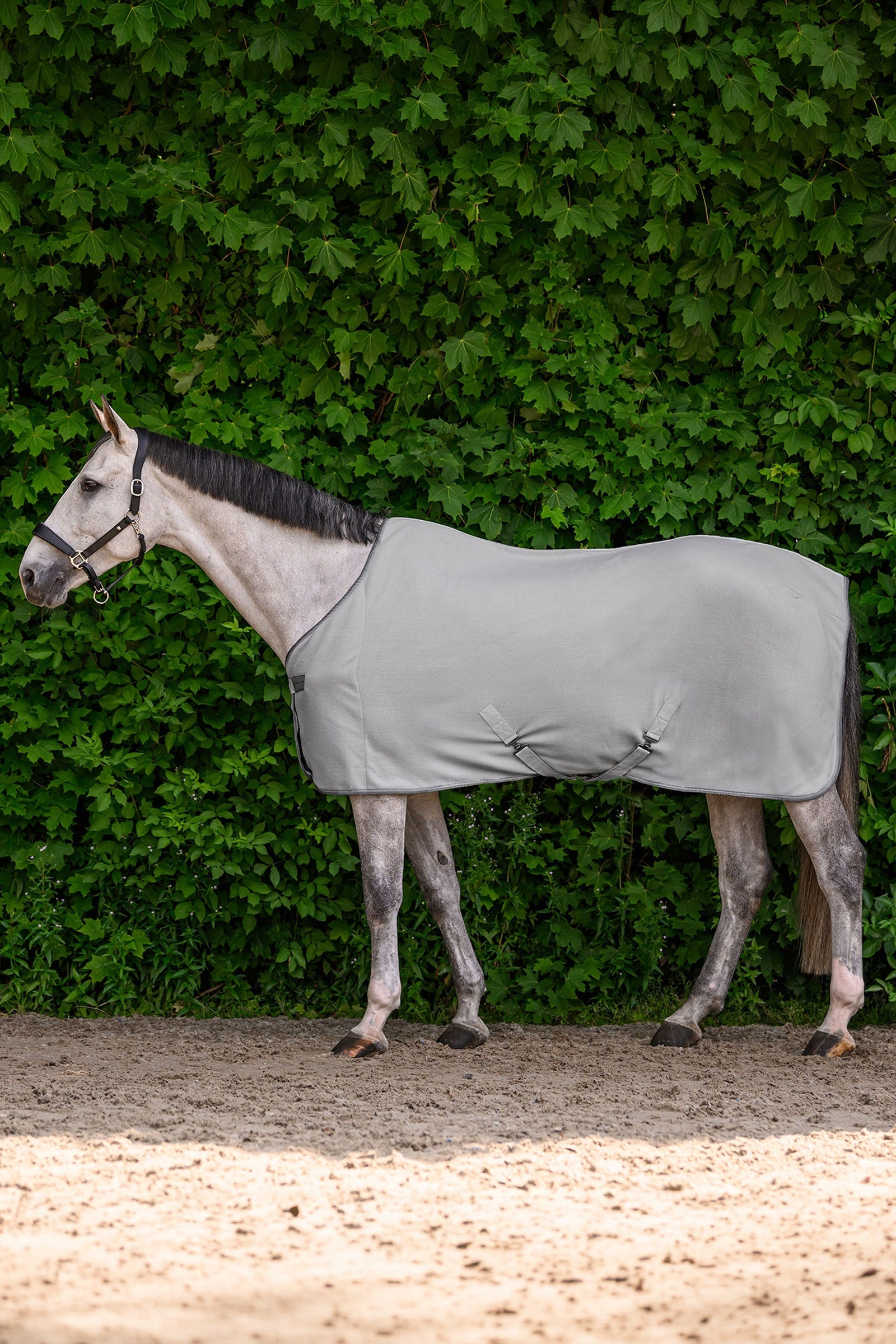 Waldhausen ECONOMIC Fleece Rug with Cross Surcingles Horse Rugs
