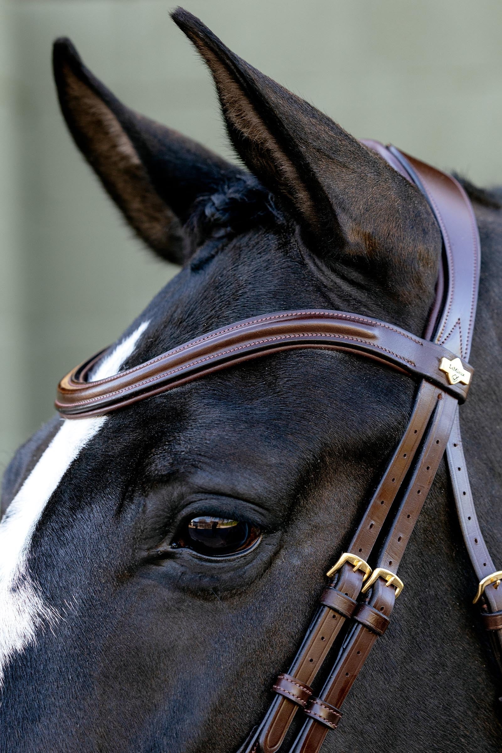 LeMieux Kudos Sport Bridle Bridles & Reins