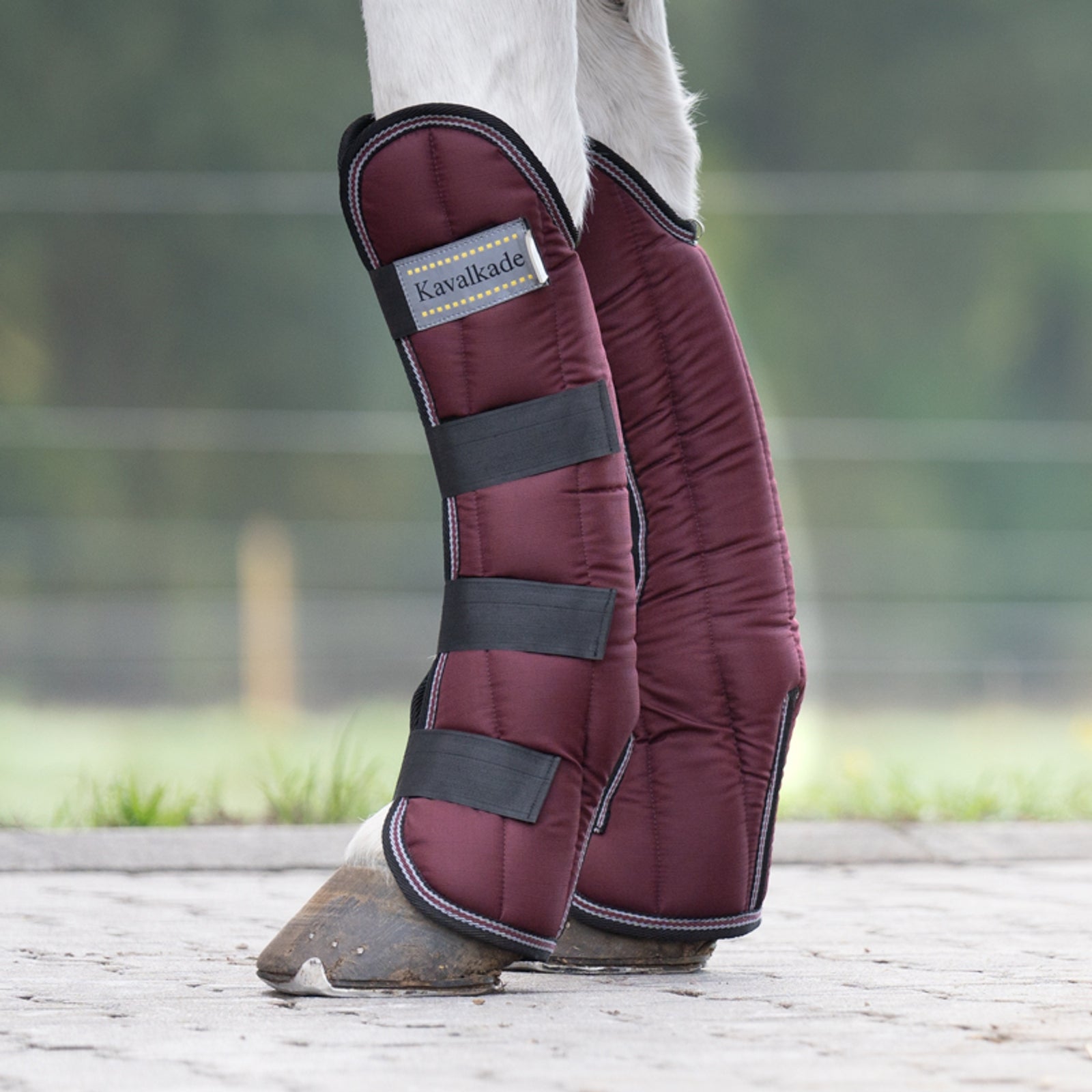 Kavalkade Montreal Travelling Boots (Set of 4) Leg & Hoof Protection