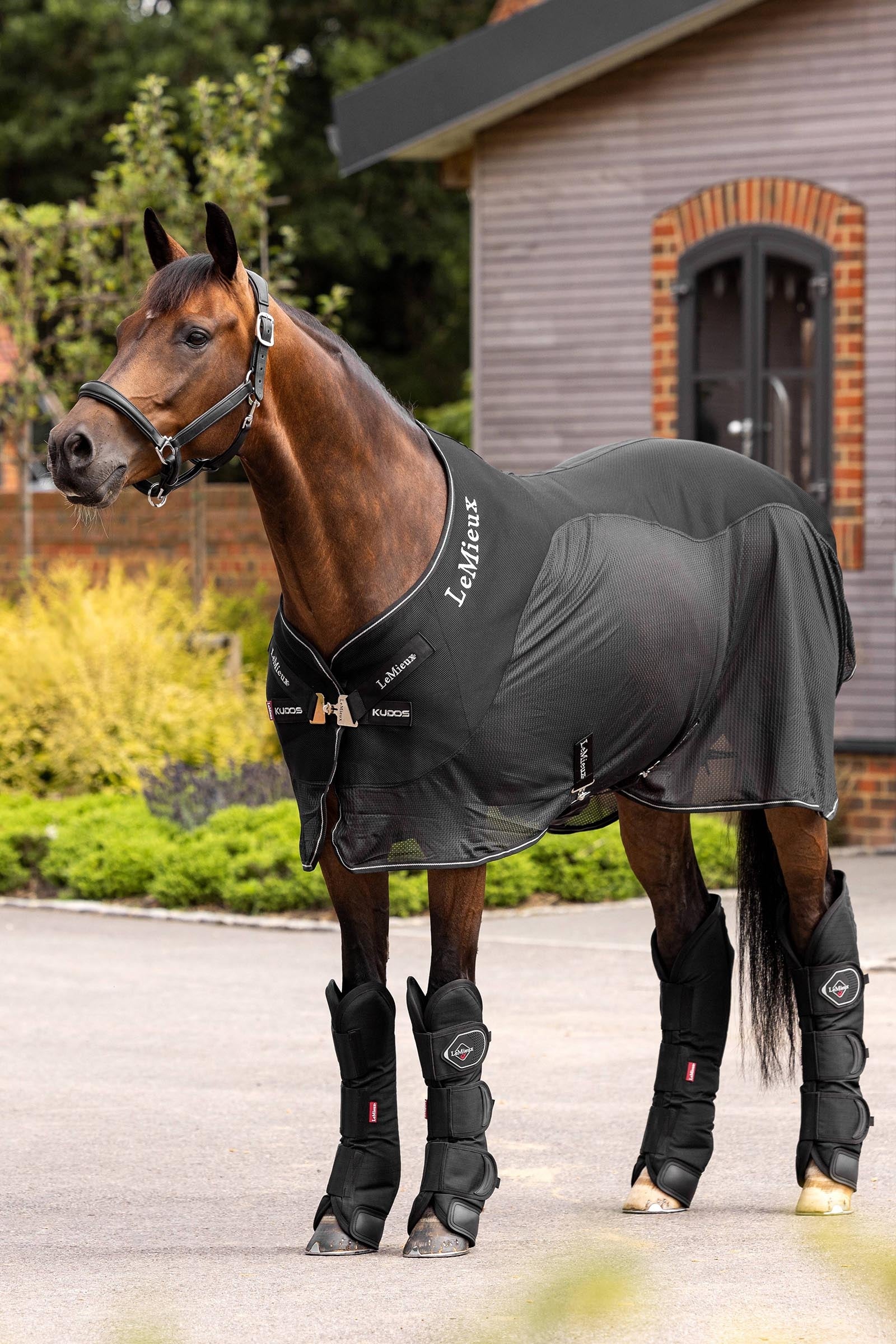 LeMieux Travel Boots Leg & Hoof Protection