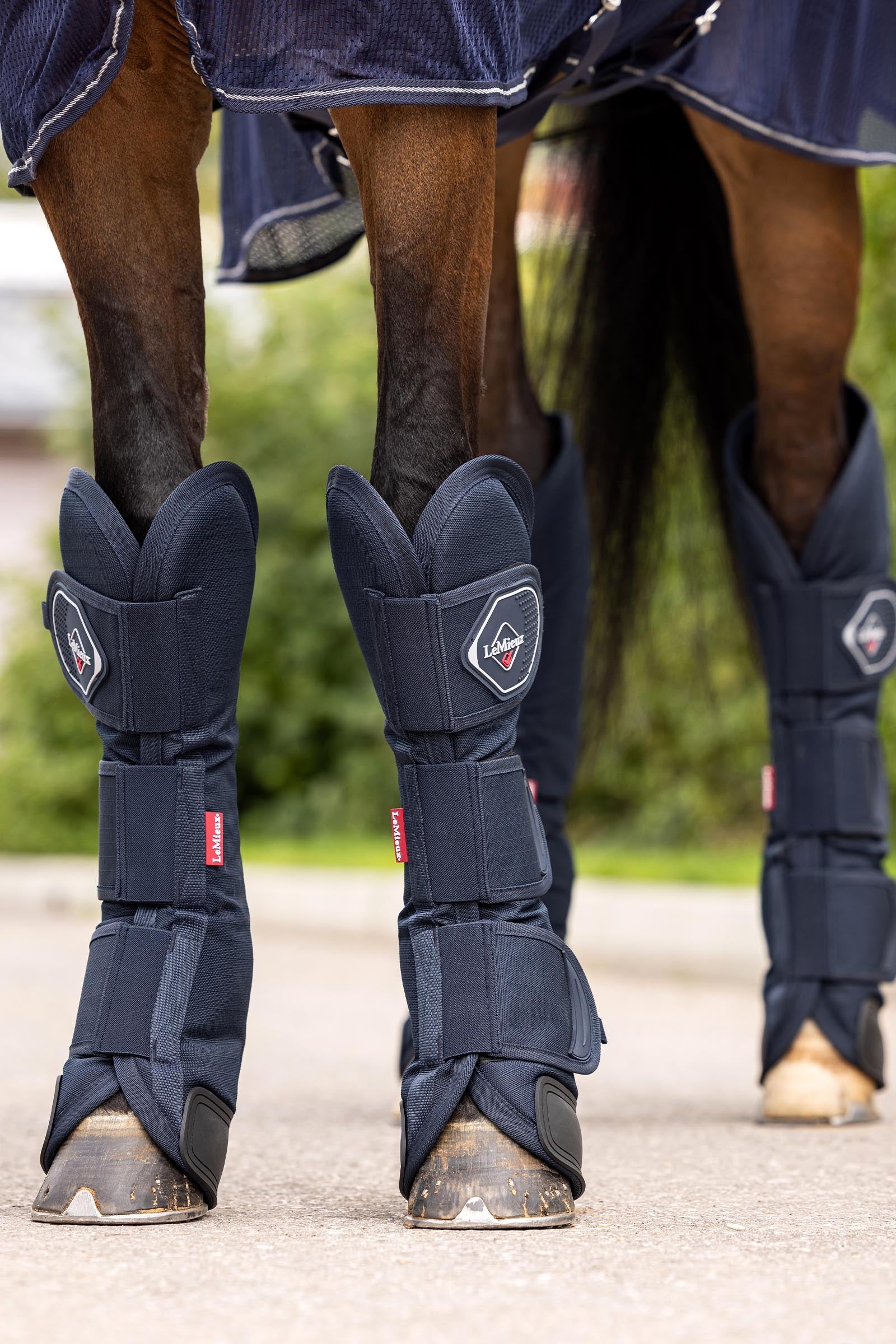 LeMieux Travel Boots Leg & Hoof Protection