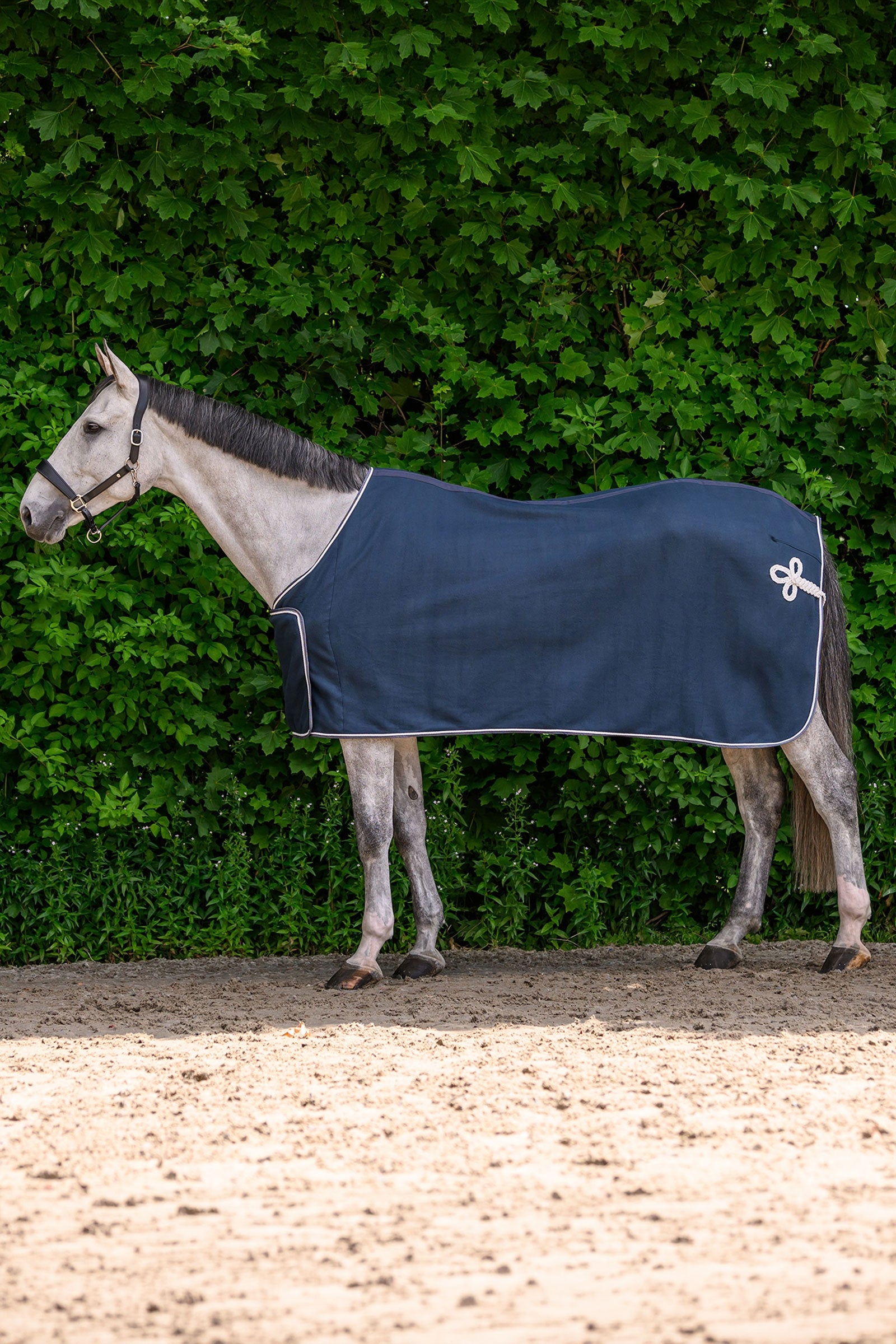 Waldhausen ECONOMIC Fleece Advertising Rug Horse Rugs