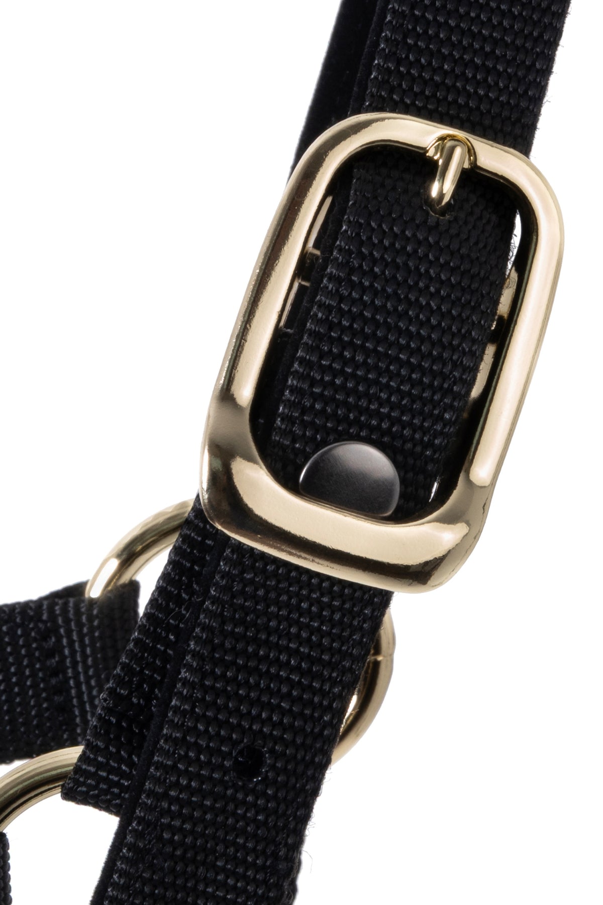 F.R.A. Freedom Riding Articles Break Away 2-in-1 Halter Halters & Leads