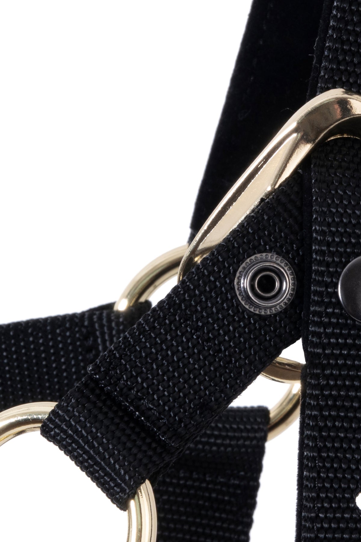 F.R.A. Freedom Riding Articles Break Away 2-in-1 Halter Halters & Leads