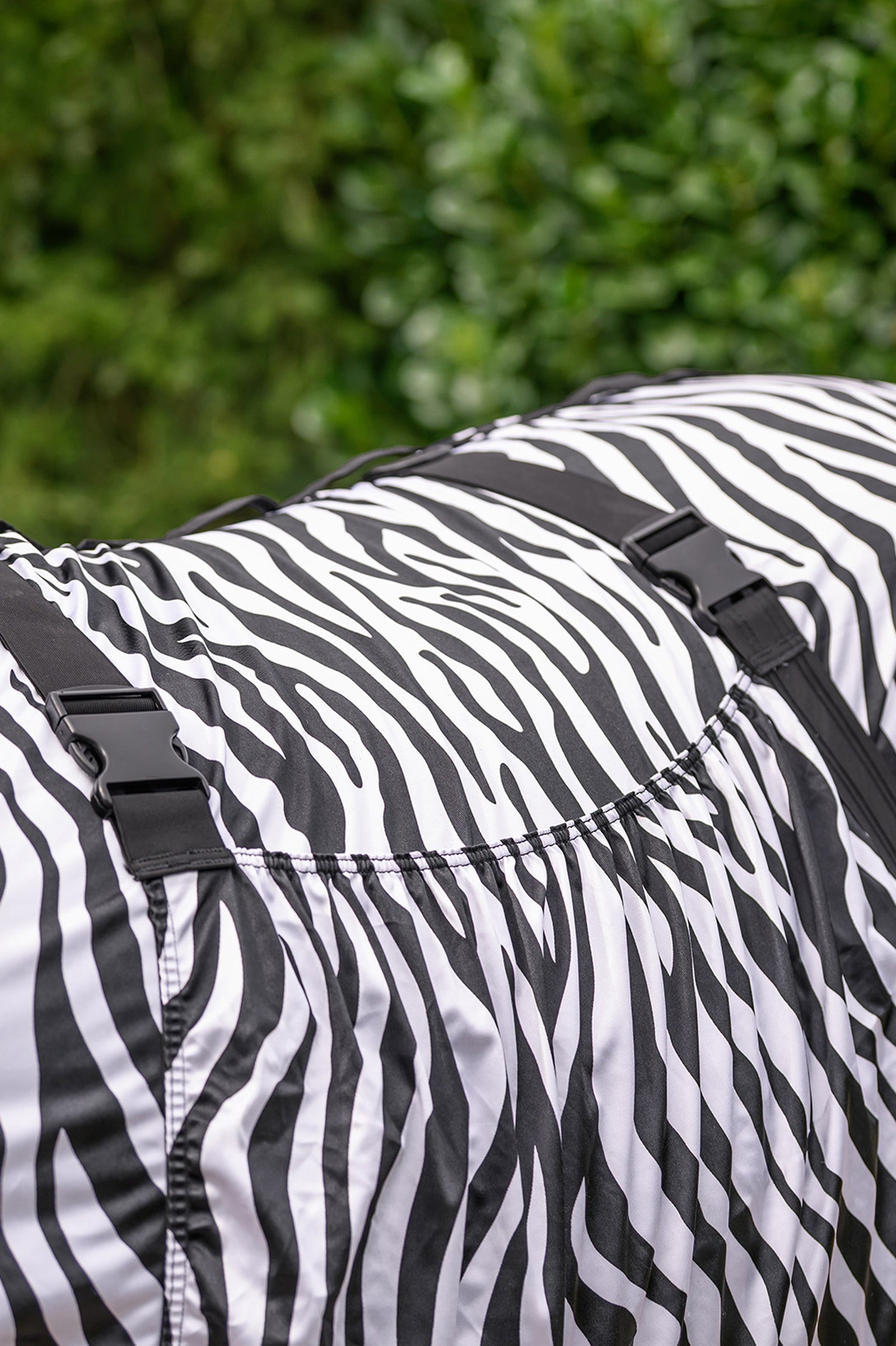 Waldhausen Zebra Eczema Rug Horse Rugs