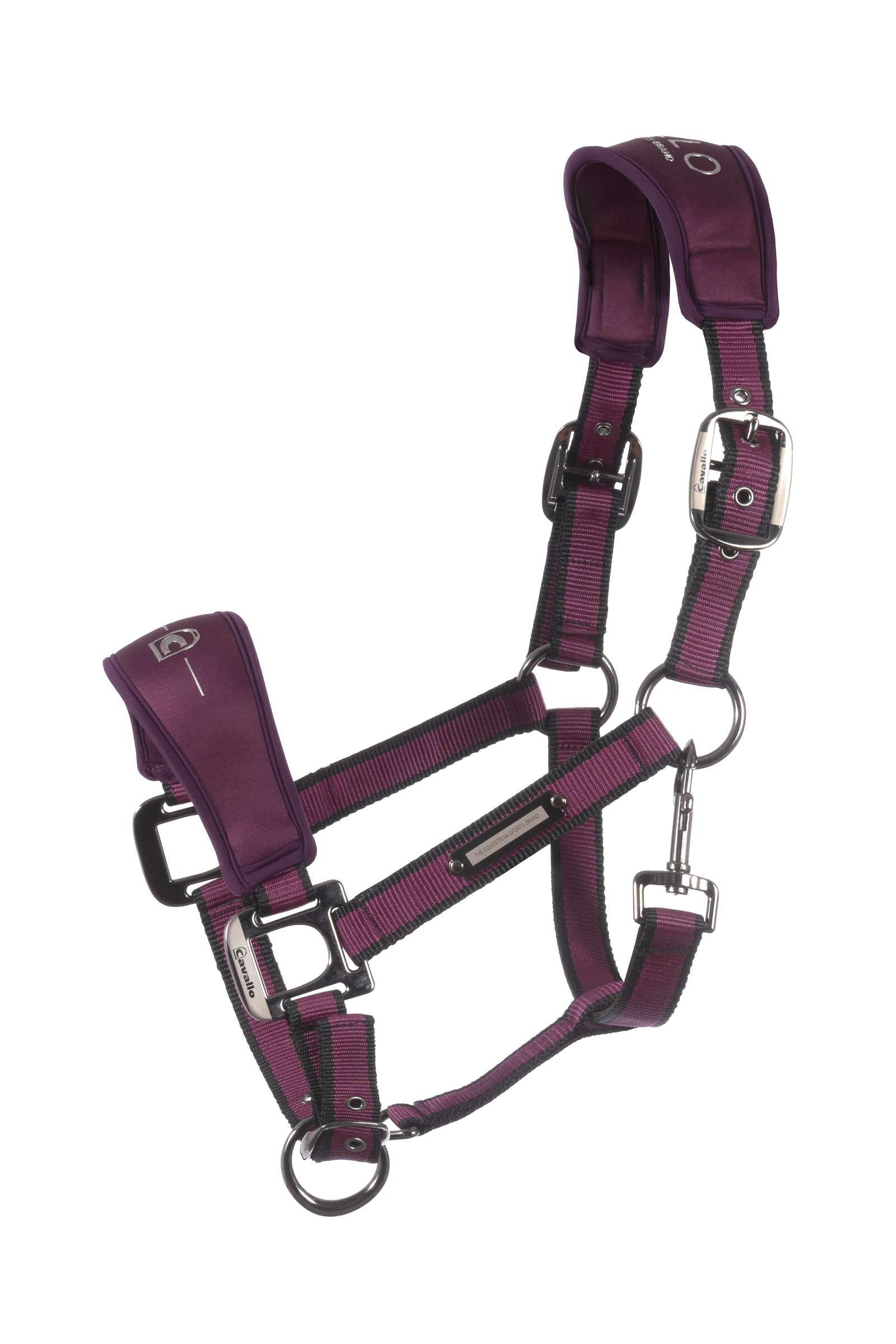 Alt Tag fallback text for IMAGE