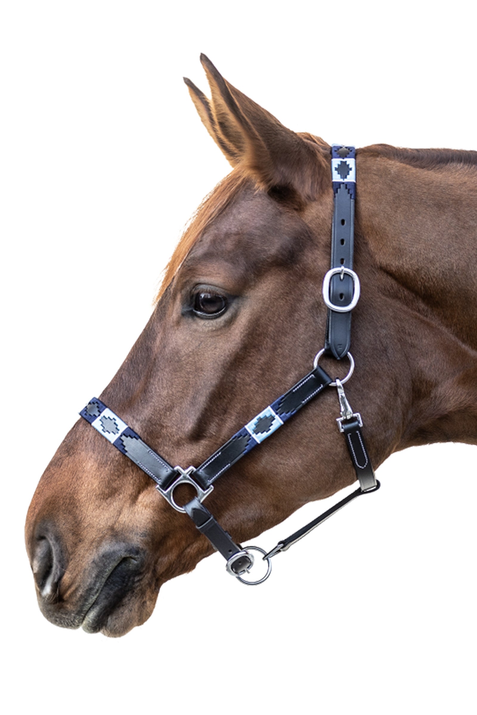 Waldhausen X-Line Polo Leather Halter Halters & Leads