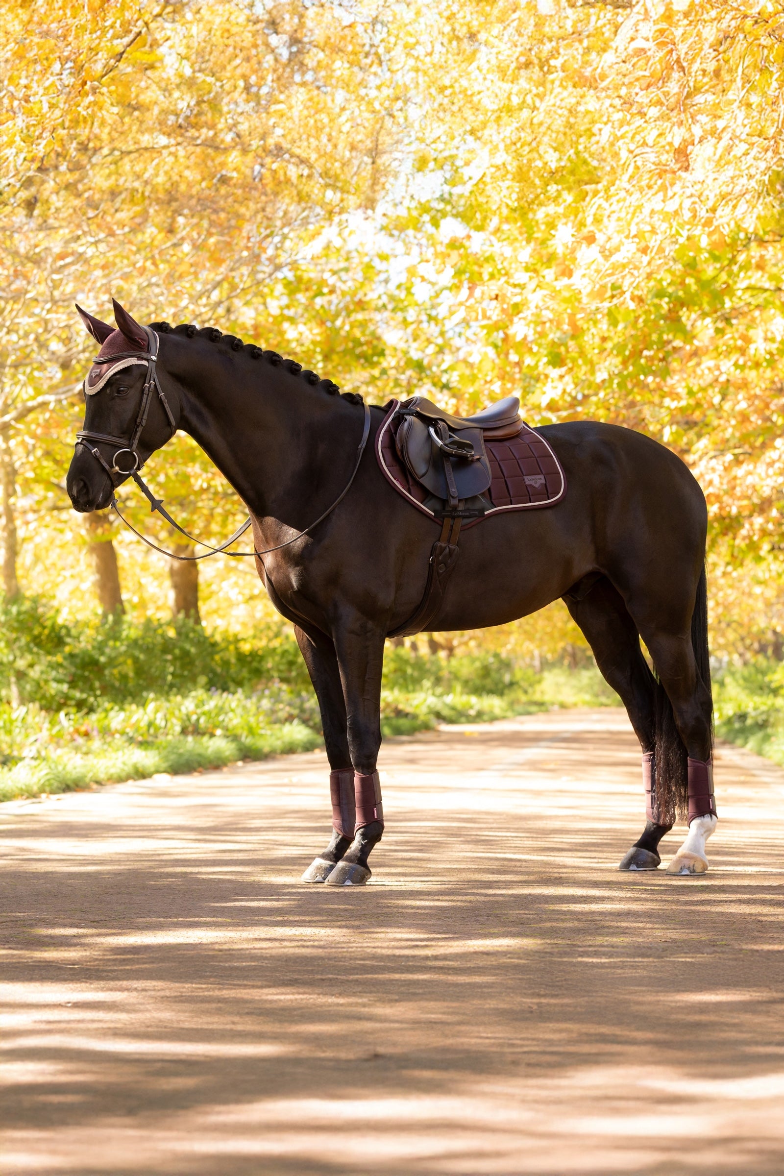 LeMieux Loire Classic Square Close Contact Saddle Pad Saddle Pads