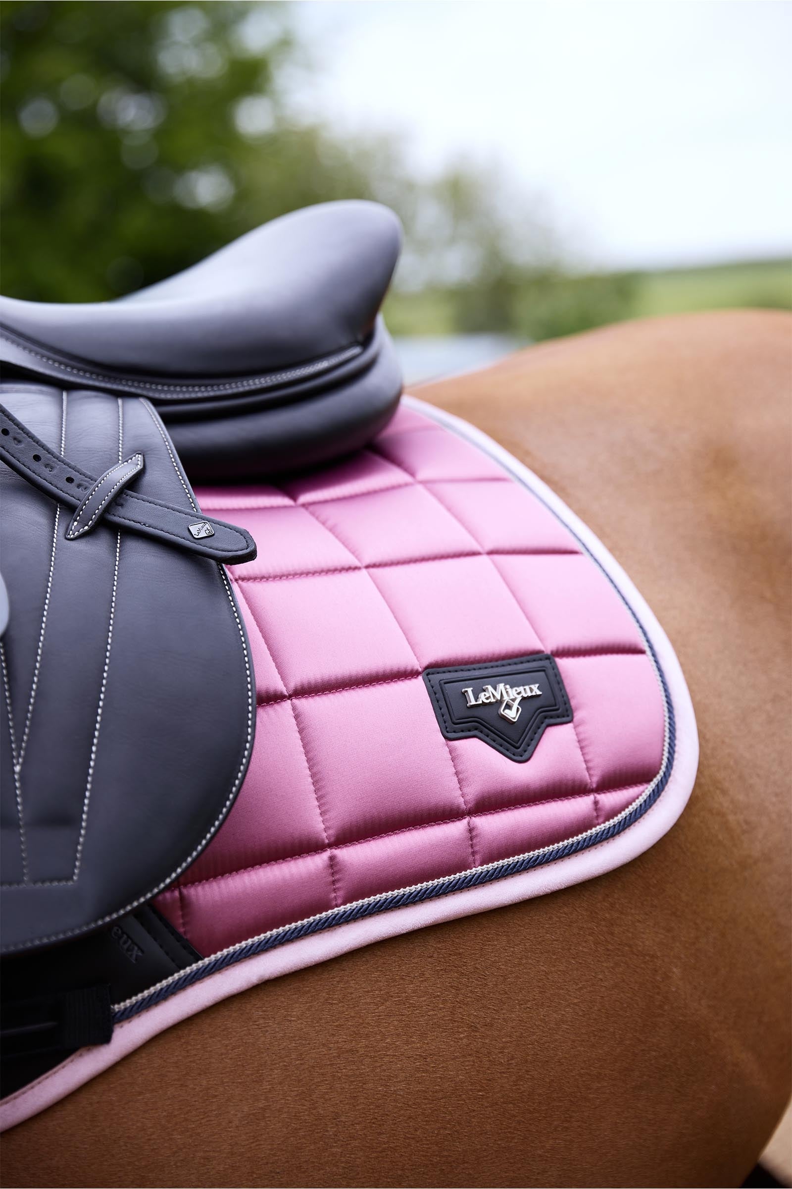 LeMieux Loire Classic Square Close Contact Saddle Pad Saddle Pads