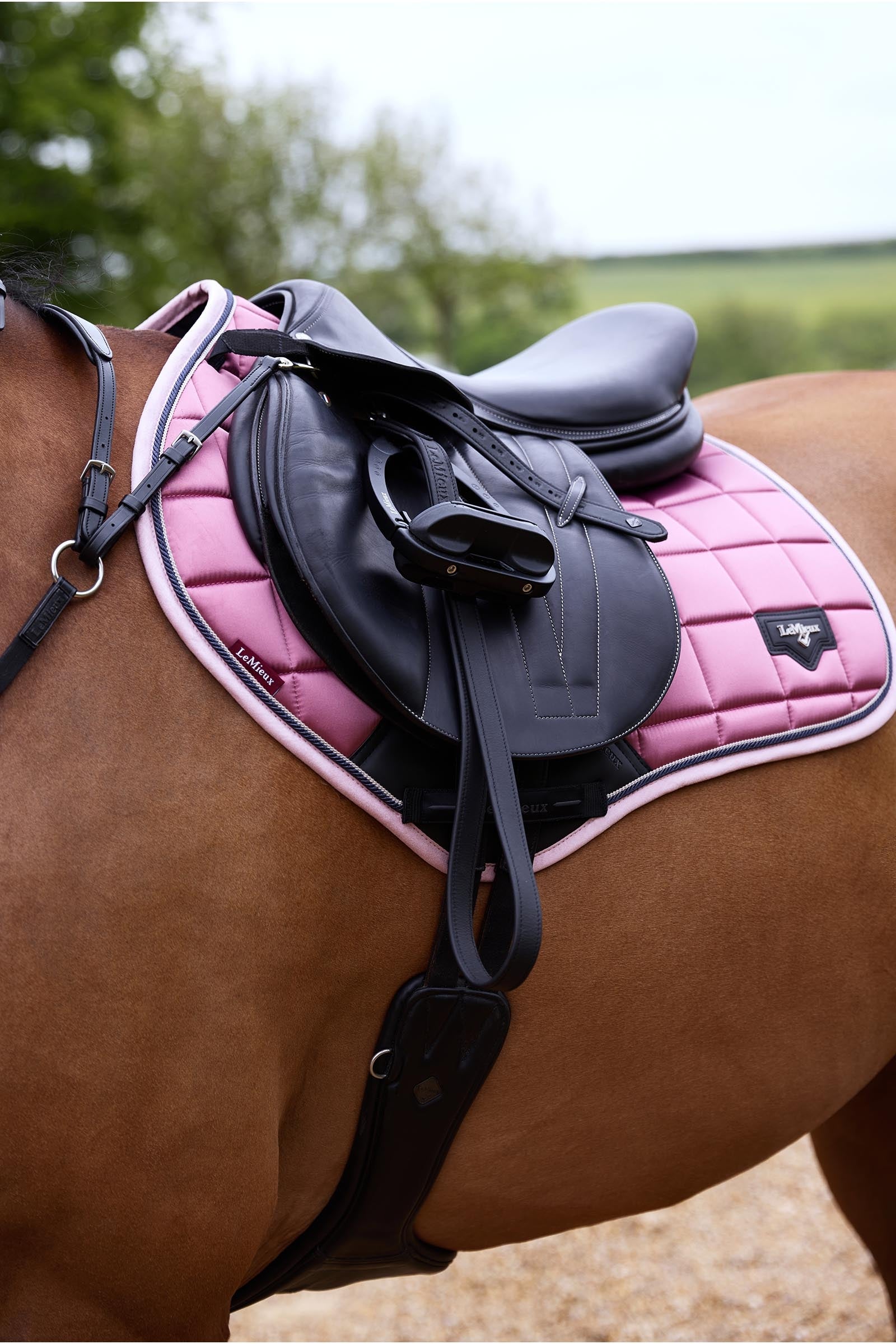 LeMieux Loire Classic Square Close Contact Saddle Pad Saddle Pads