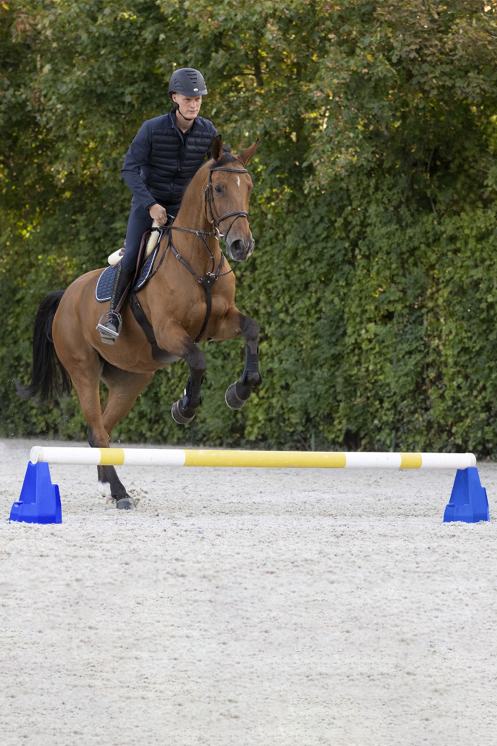 Waldhausen Cavaletti Block Stable Equipment