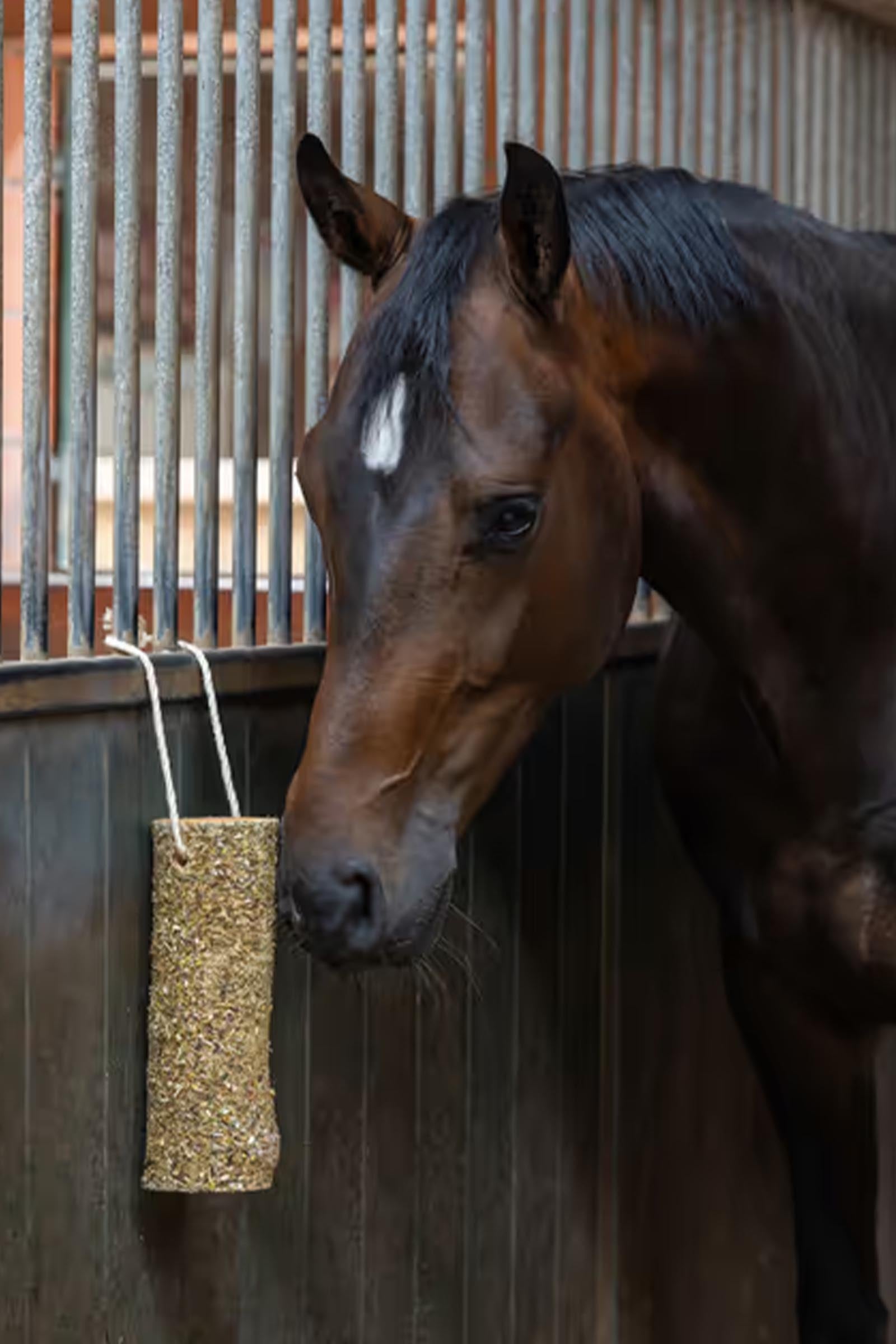 Delizia Delizia® Wooden Stick Chew Metabolism 1,5 kg Horse Feed & Nutrition