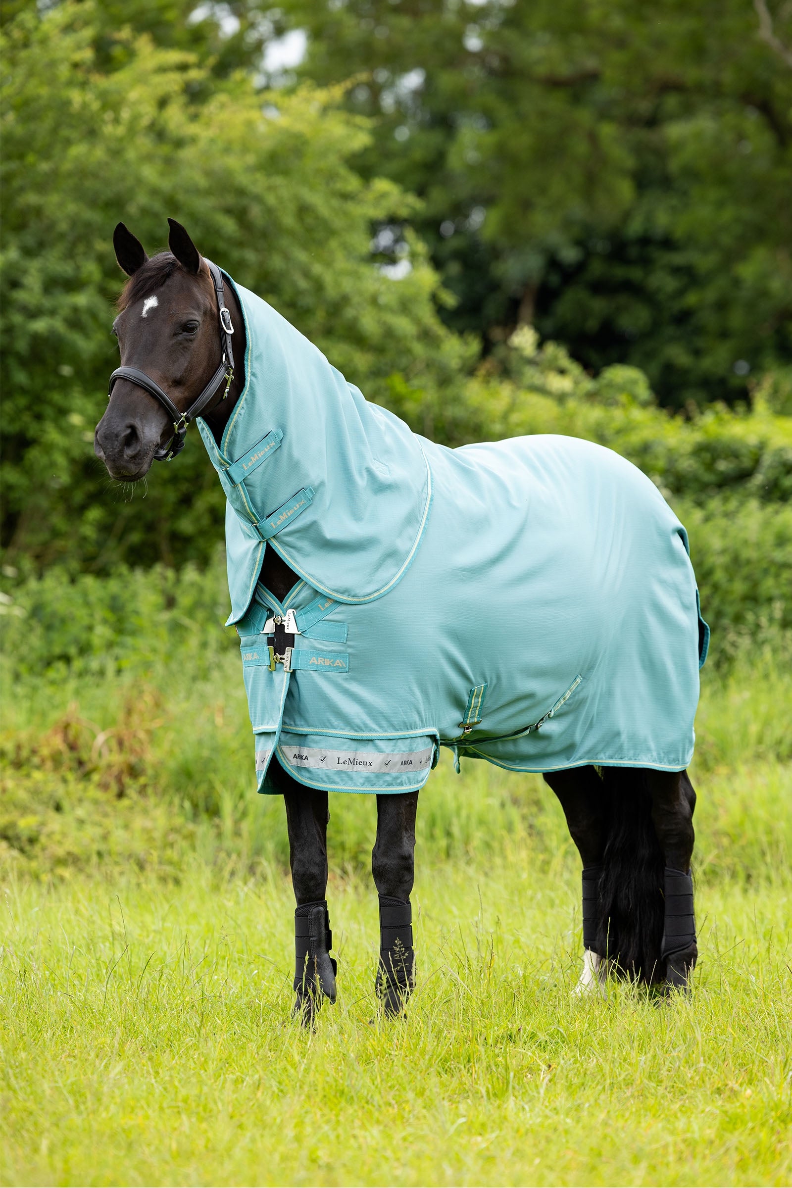 LeMieux Arika 600D Turnout Rug With Detachable Neck Part, 0g Horse Rugs
