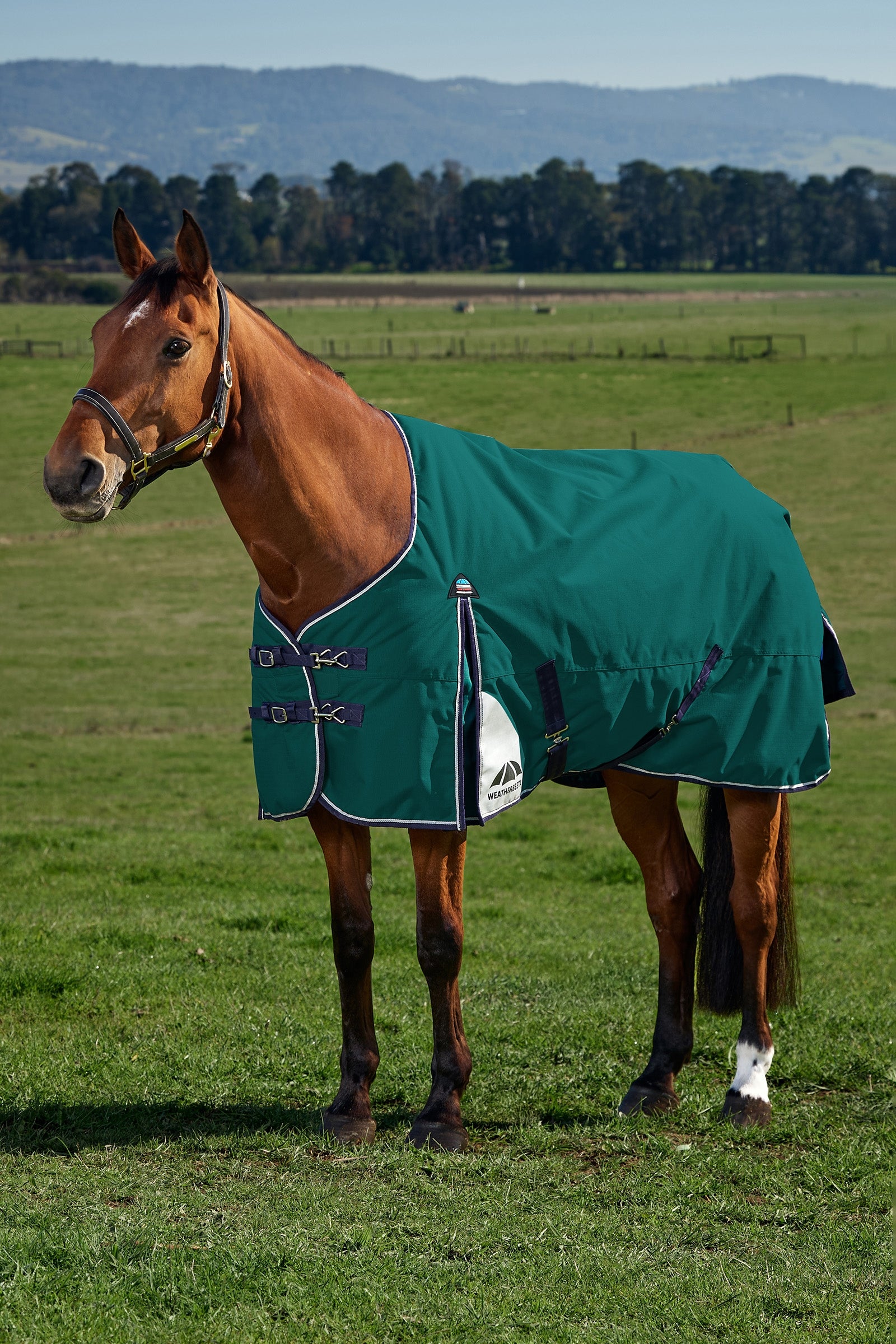 Weatherbeeta ComFiTecPlus Dynamic Turnout Detach-a-Neck, 100 g Horse Rugs
