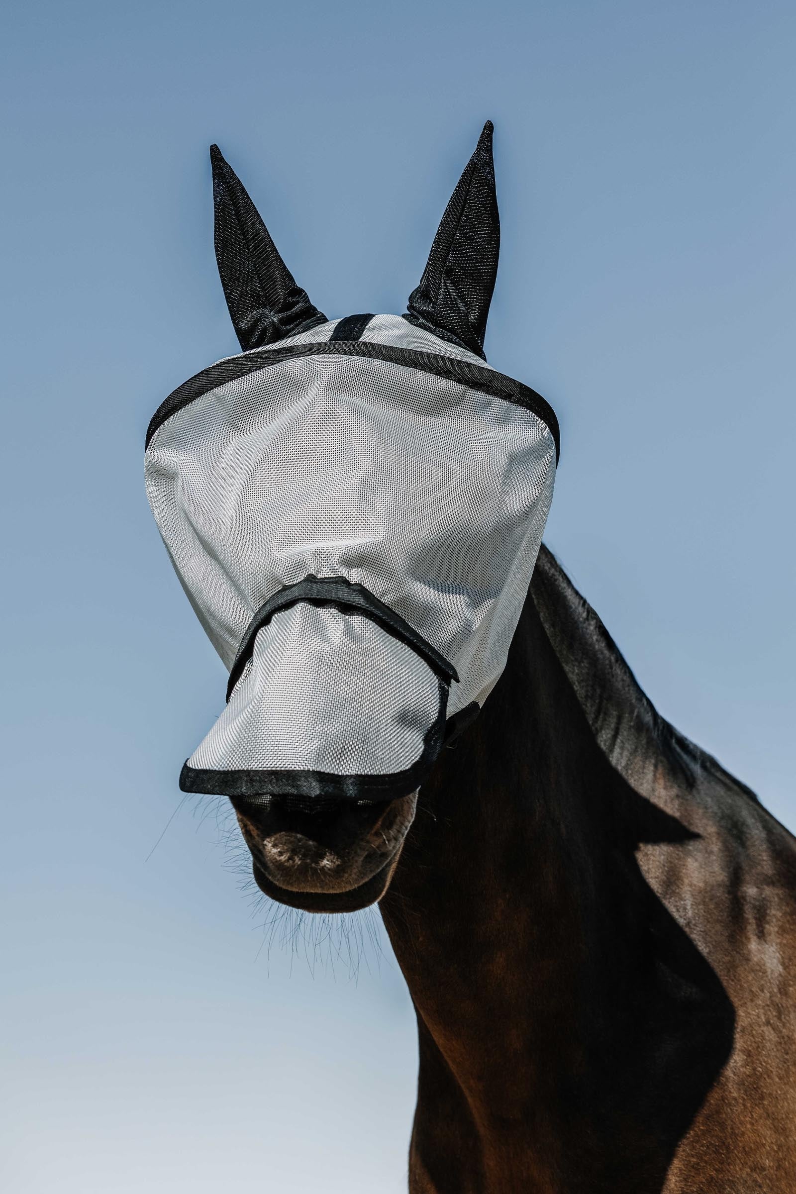EQUITHÈME Protec Fly Mask/ UV Mask Antifly Protection for Horses
