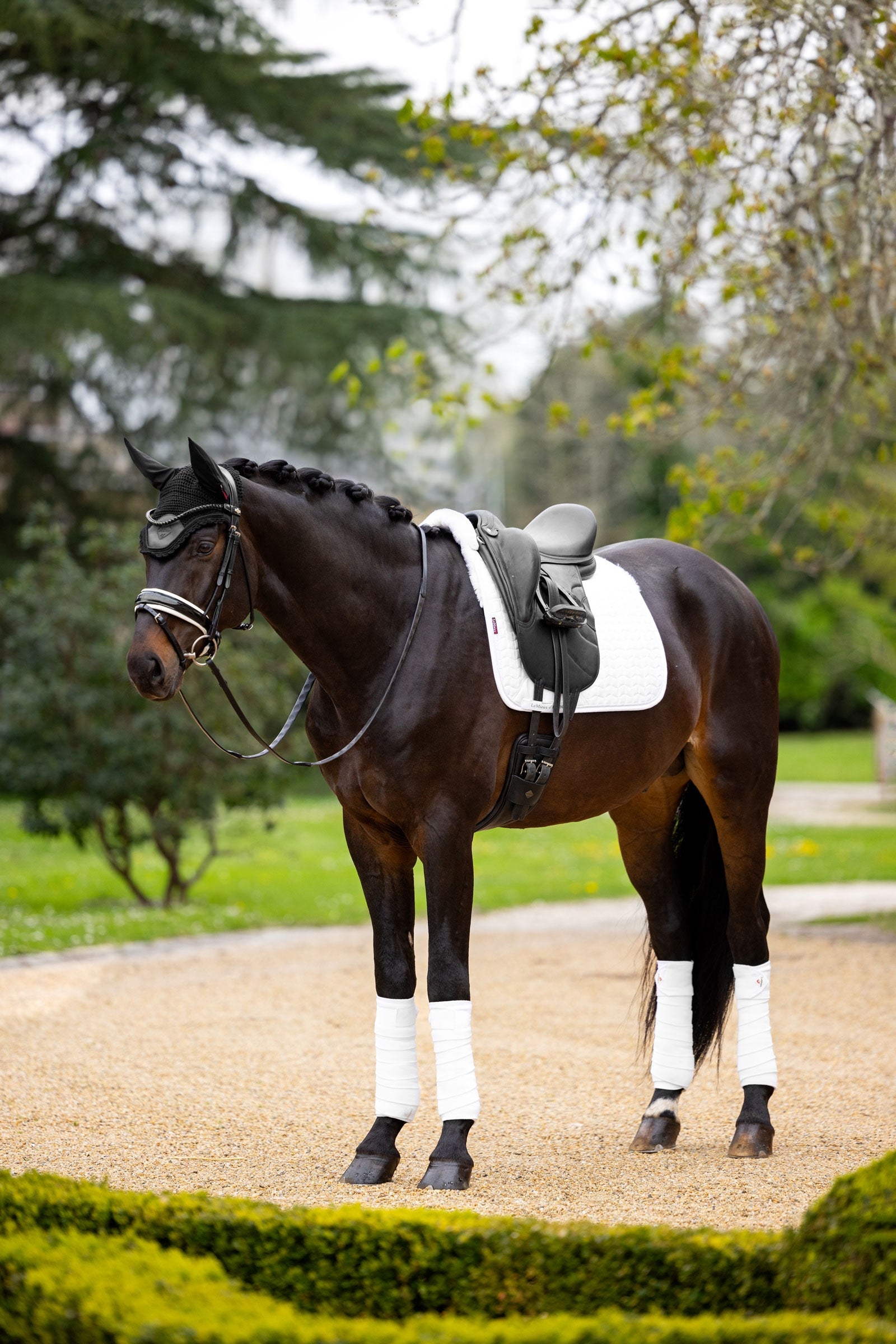 LeMieux Merino+ Dressage Saddle Pad Suede-effect, half lined Saddle Pads