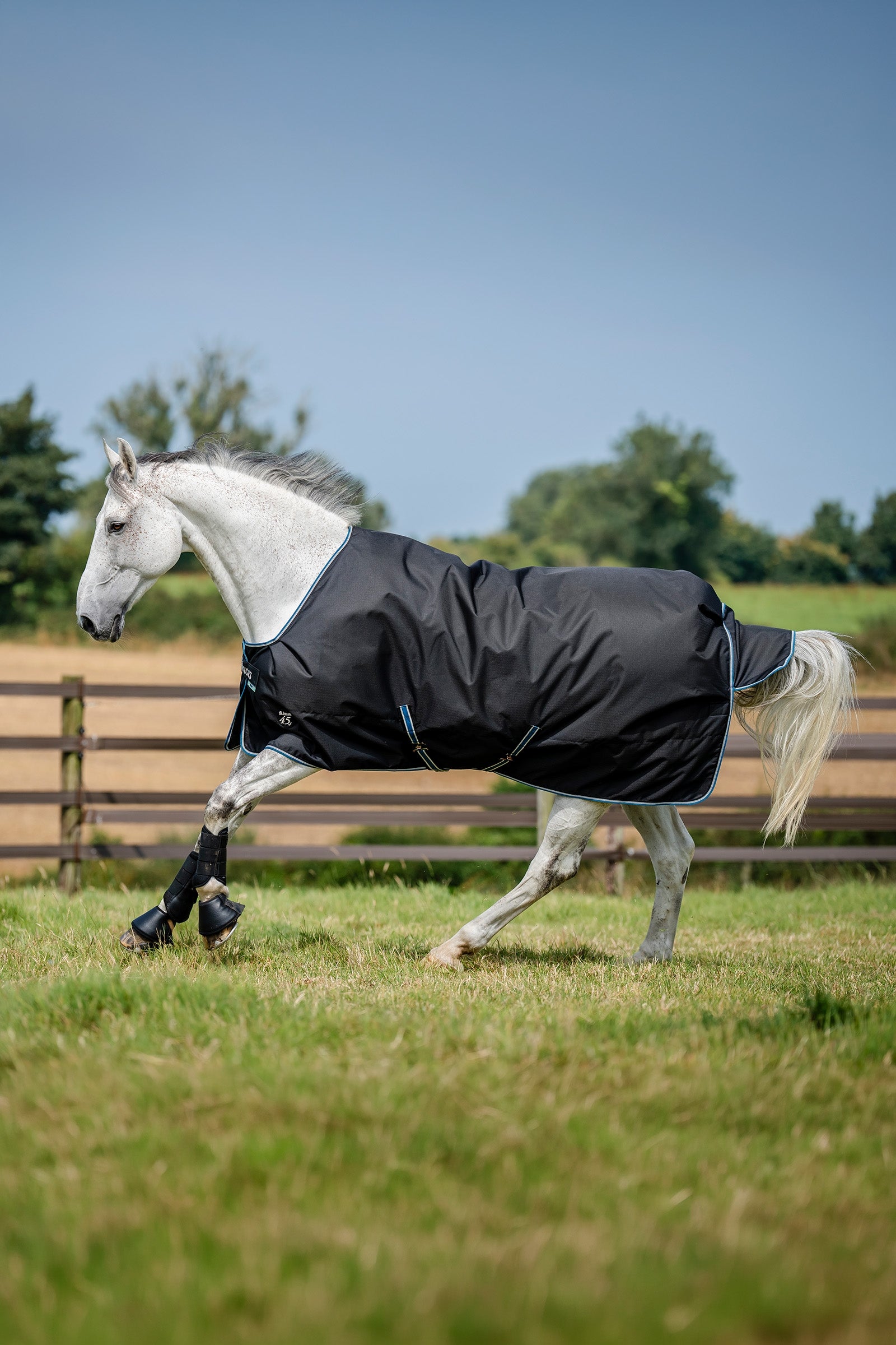 Bucas Anniversary SF Light Rain Turnout Rug, 50g Horse Rugs