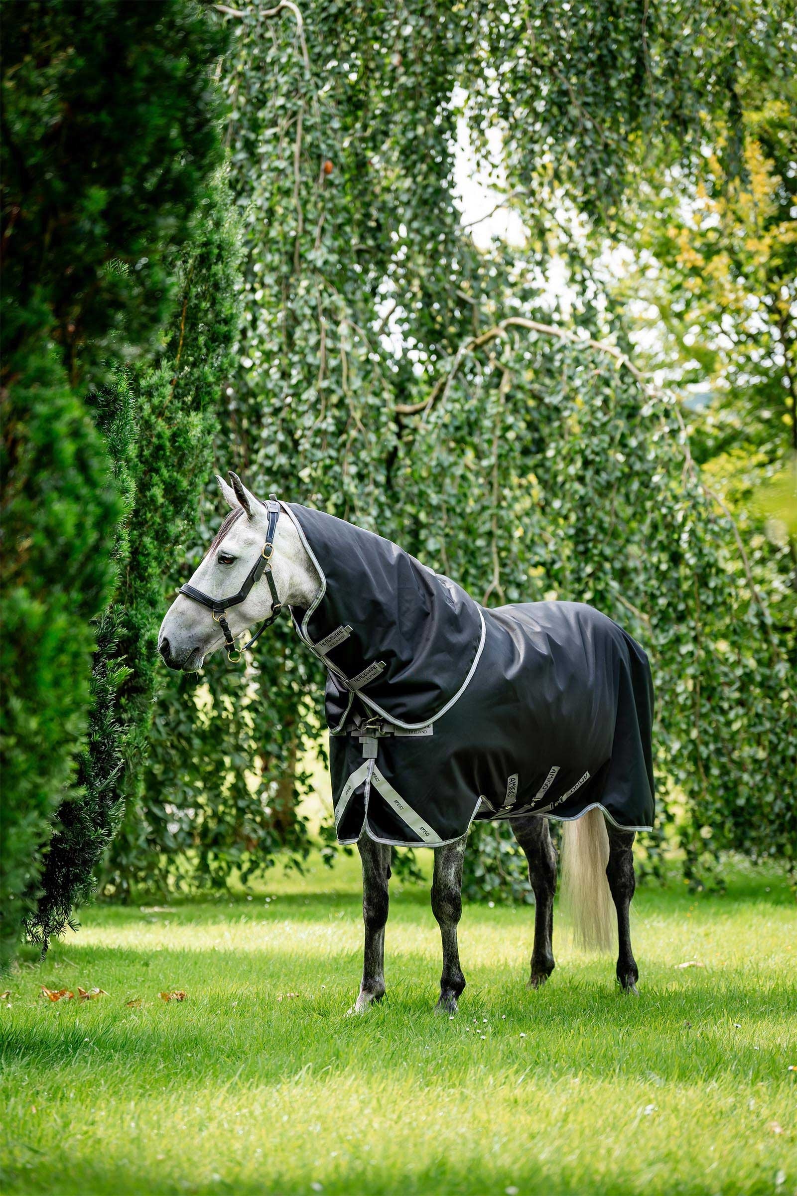 Horseware Amigo Bravo 12 Plus Turnout Rug With Detachable Neck, 400g Horse Rugs