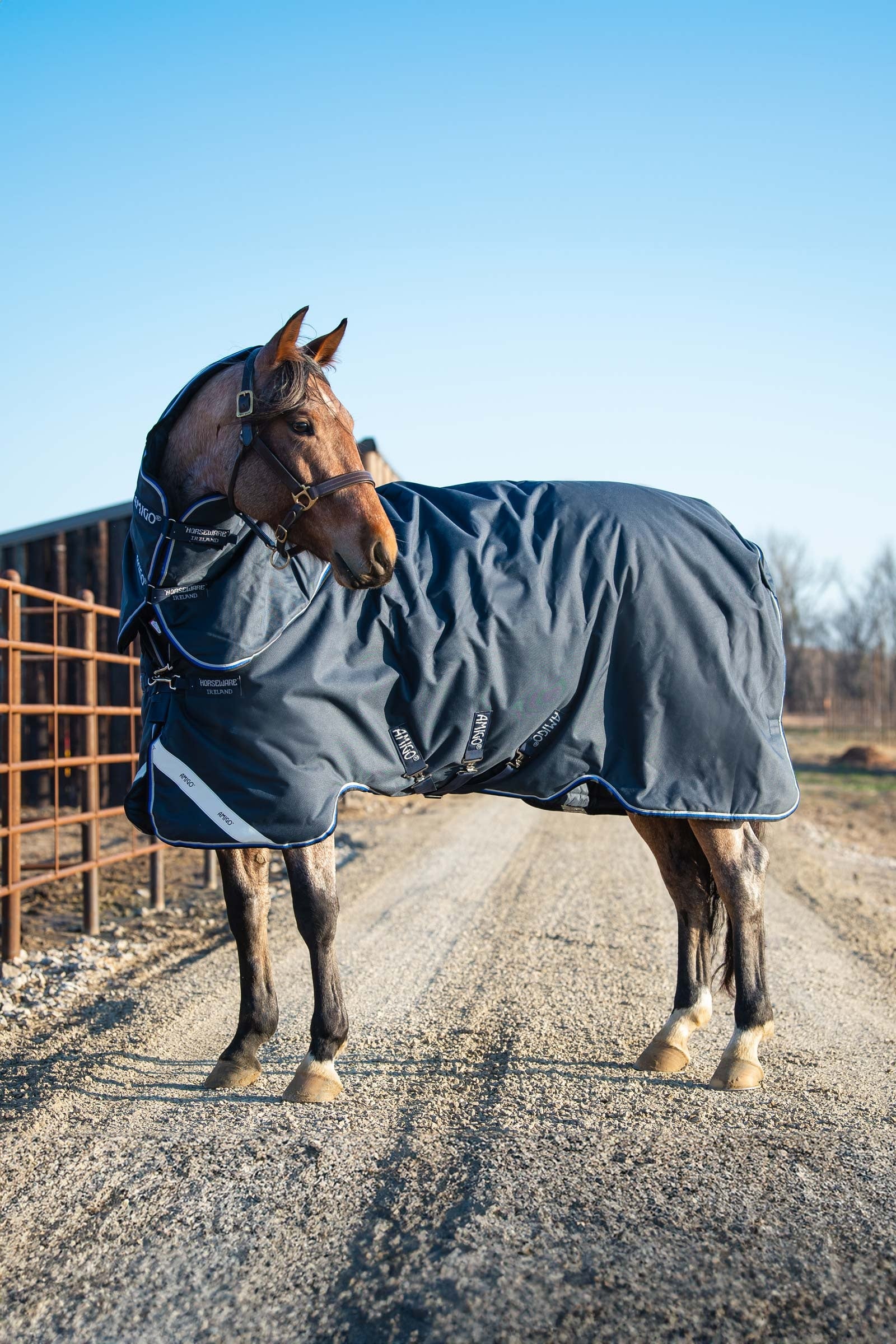 Horseware Amigo Bravo 12 Plus Turnout Rug With Detachable Neck, 400g Horse Rugs