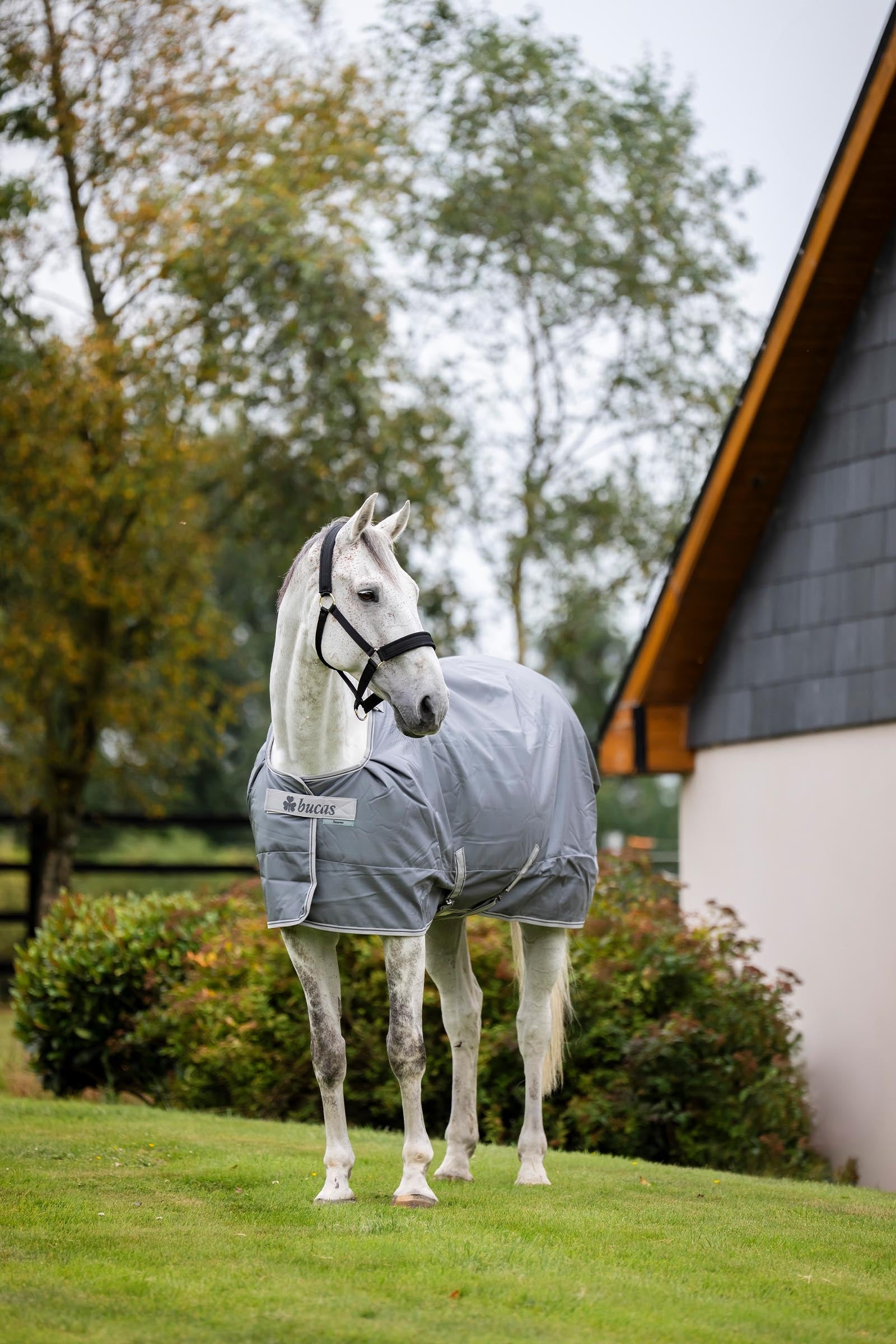 Bucas Smartex Medium Big Neck Horse Rugs