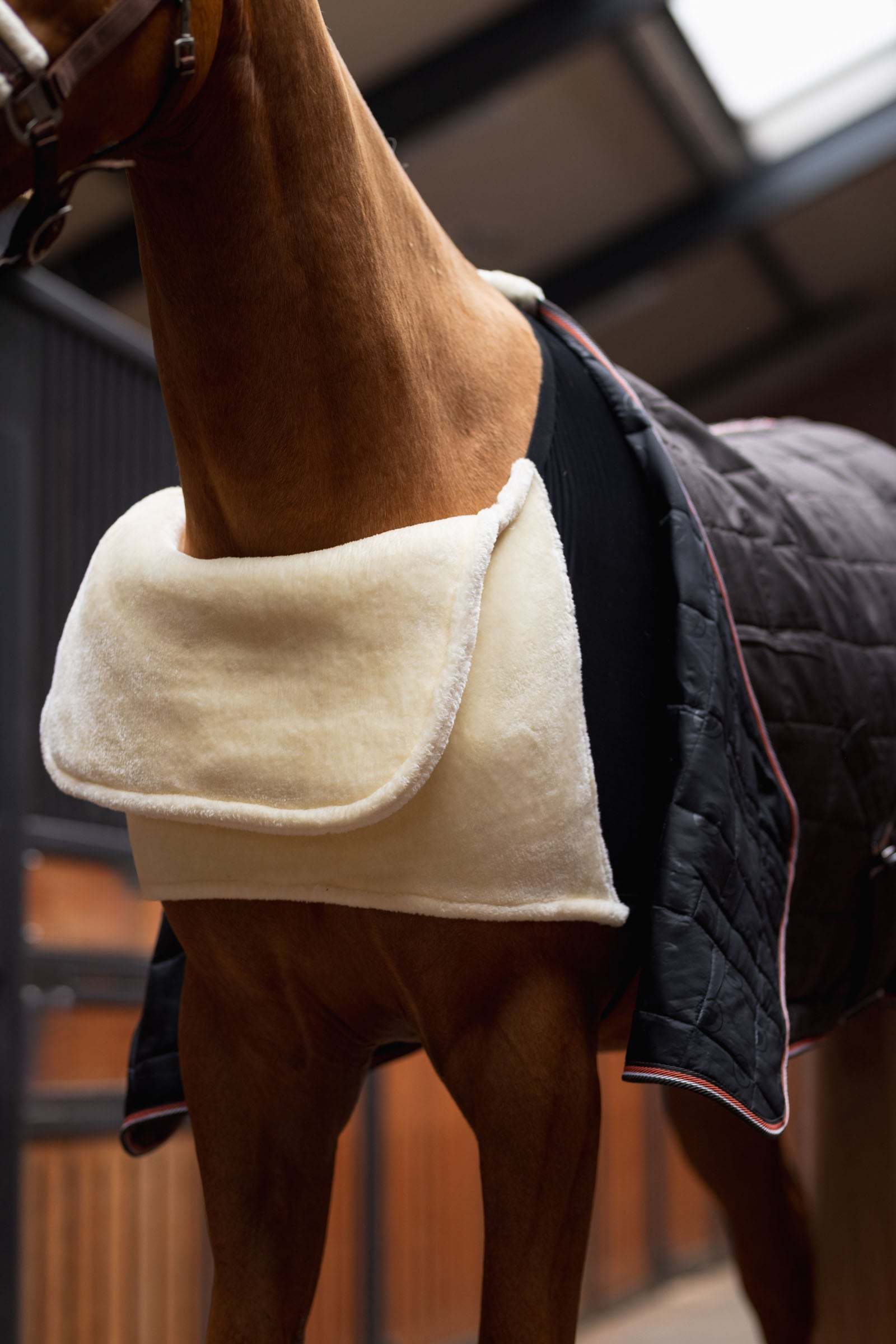 Horze Comfort Shoulder Protector Horse Rugs