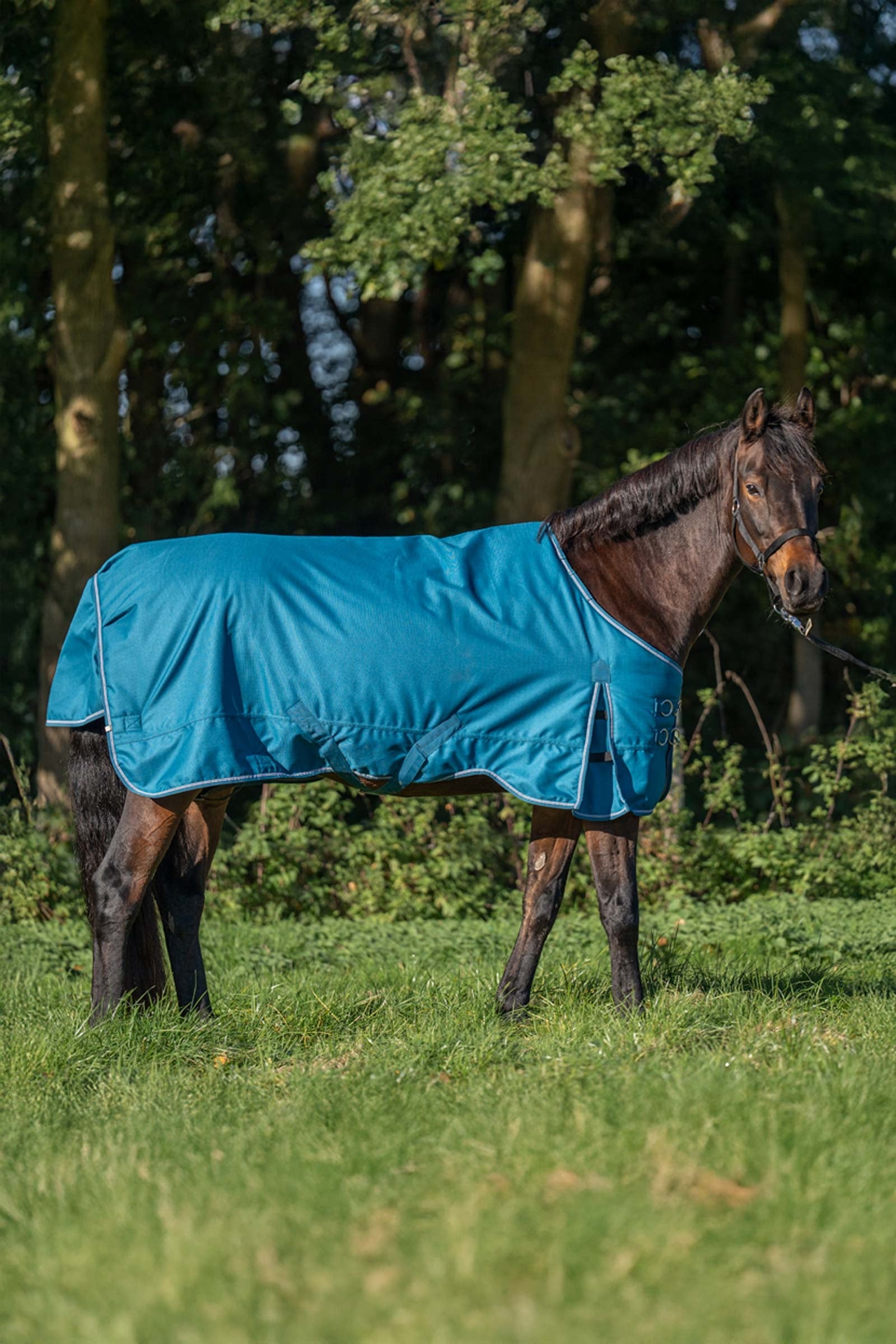 Kavalkade Alaska IV Turnout Rug, 300 g Horse Rugs