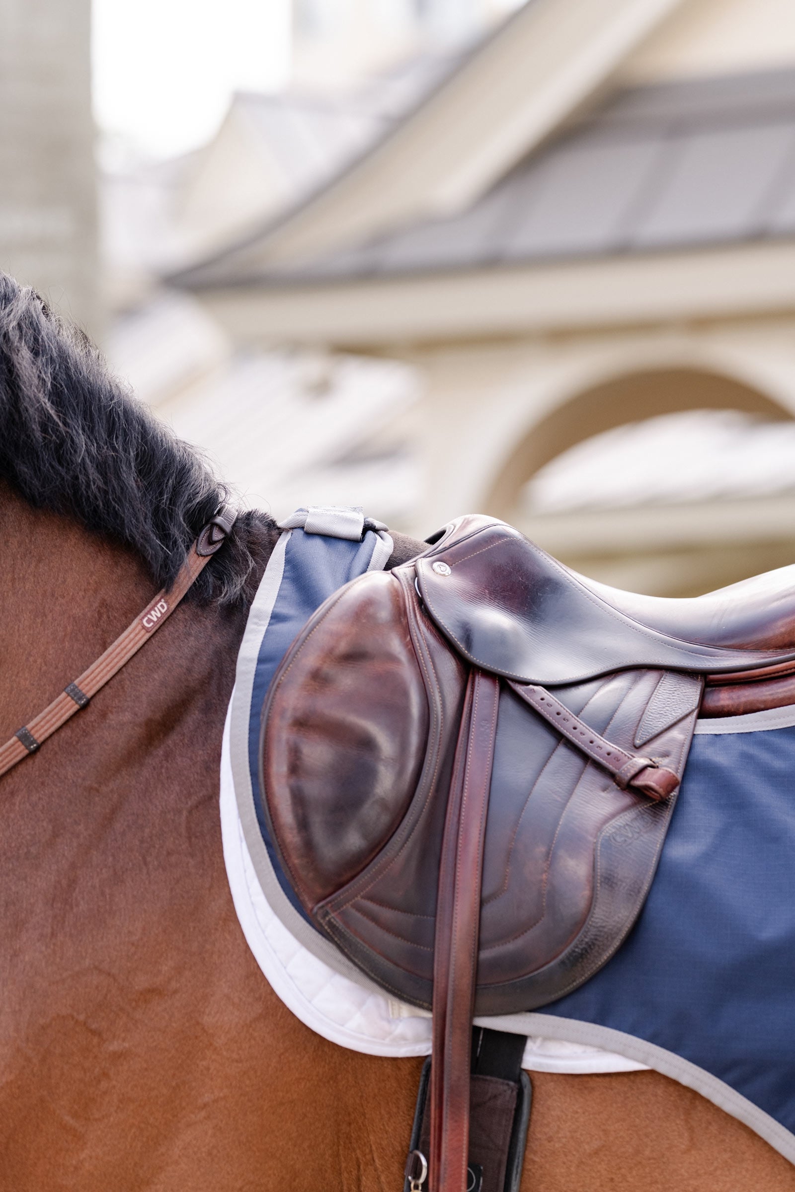 Horseware Amigo Ripstop Exercise Sheet Horse Rugs
