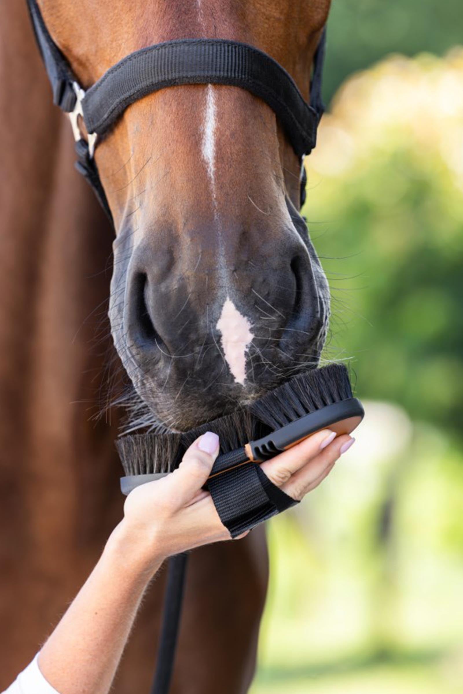 Covalliero Flex 2K HorseHair Horse Grooming Tools