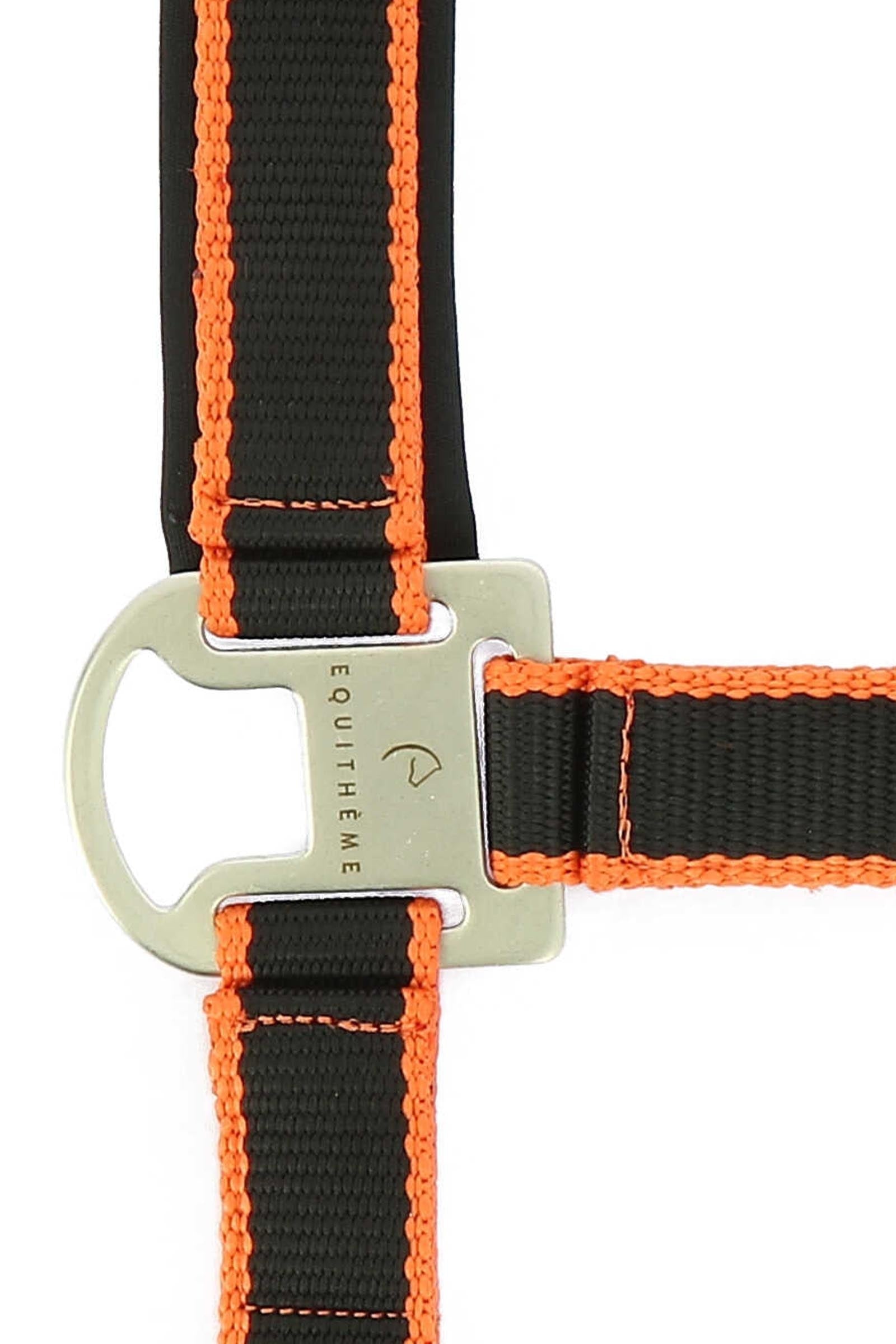Equi Theme EQUITHÈME Satin Halter + Lead Halters & Leads