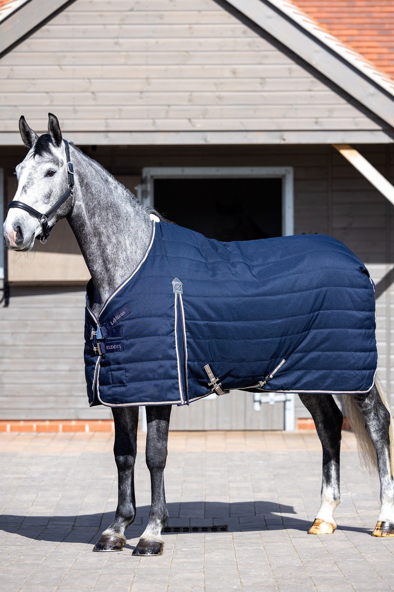 LeMieux Kudos Stable Rug 50g Horse Rugs