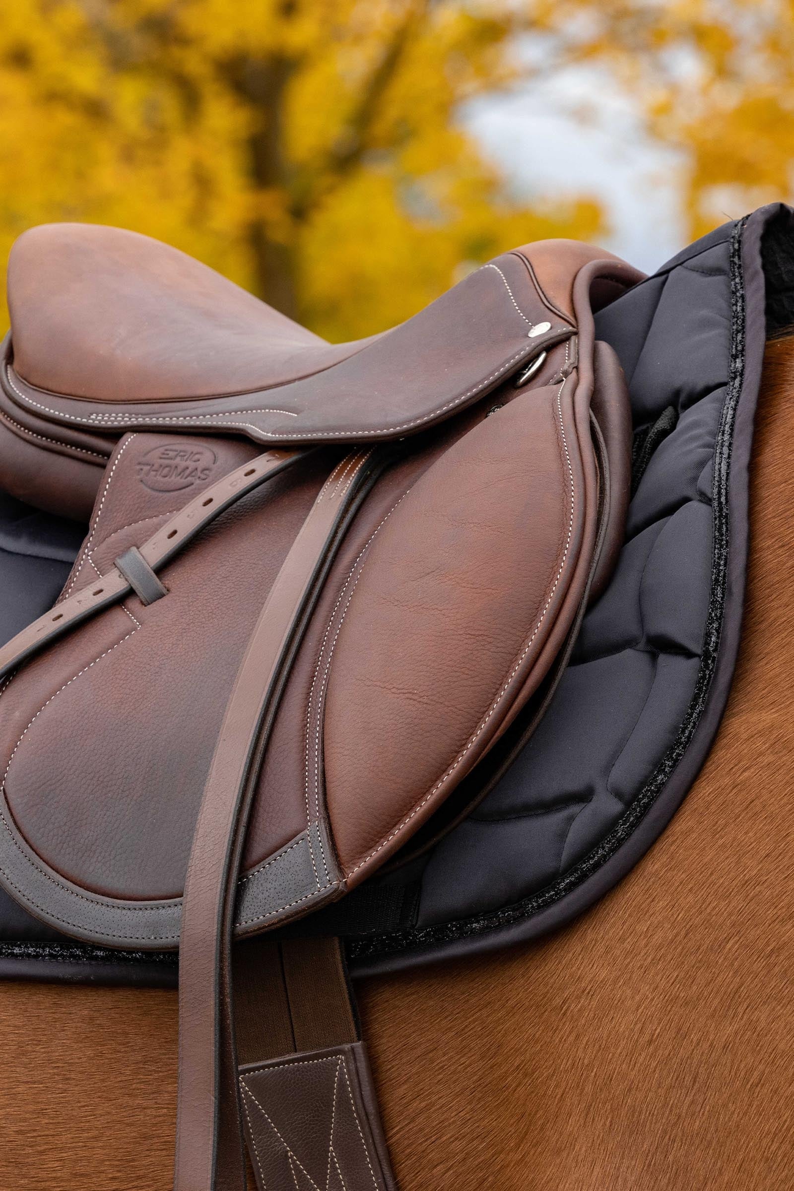 Equi Theme EQUITHÈME Satin All Purpose Saddle Pad Saddle Pads
