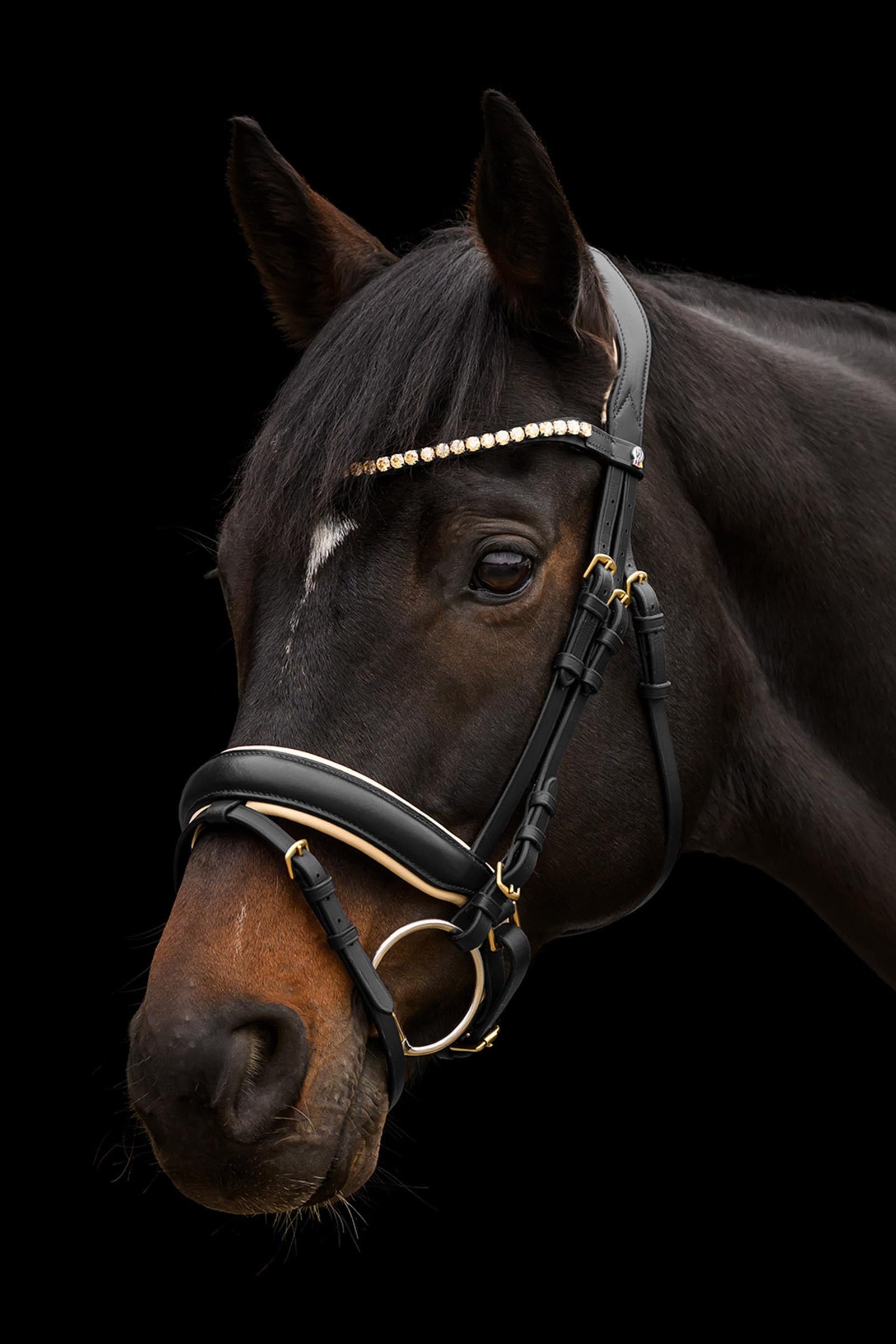 Waldhausen X-Line Ivory Bridle With Pullback Combined Nosenband Bridles & Reins
