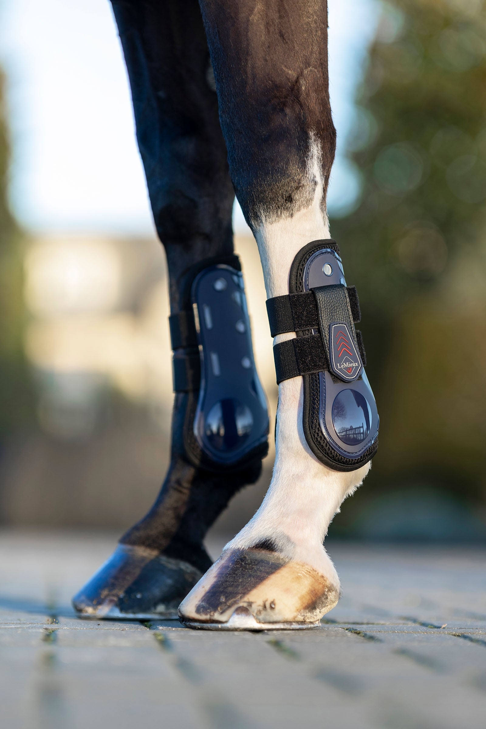 LeMieux Derby ProJump Tendon Boot Leg & Hoof Protection
