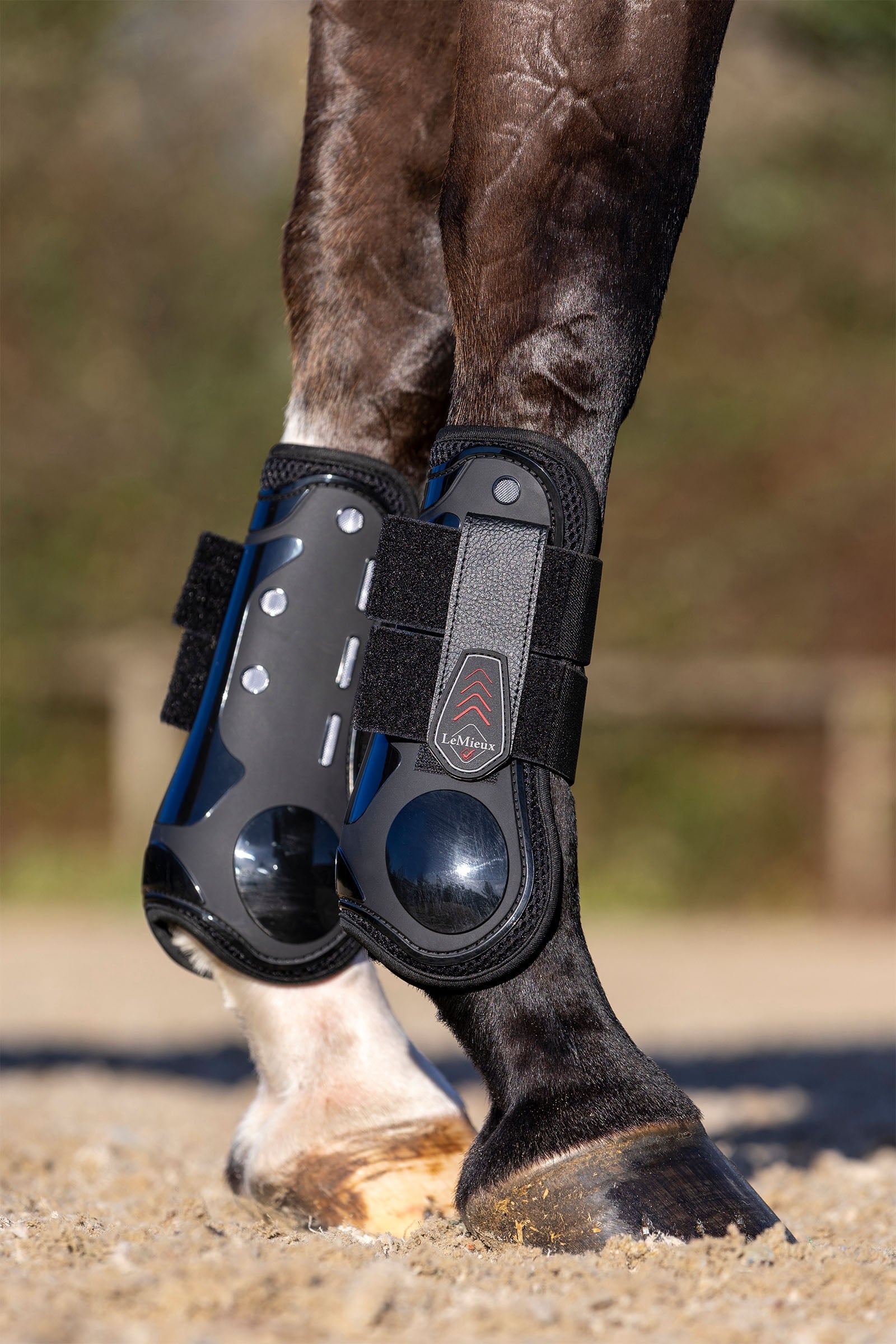 LeMieux Derby ProJump Tendon Boot Leg & Hoof Protection