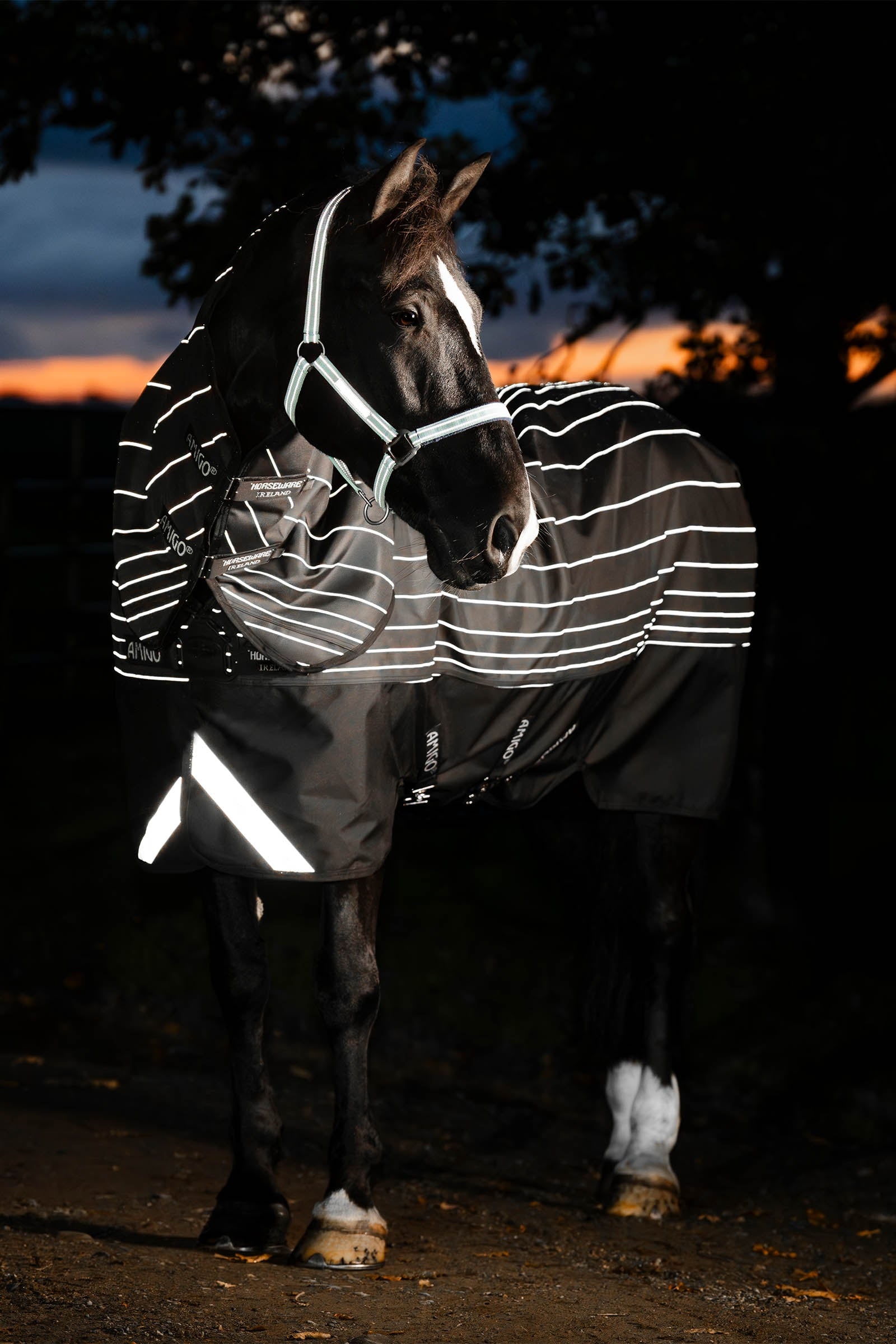 Horseware Amigo 1200D FieldSafe Reflectech Plus Turnout Rug, 250 g Horse Rugs