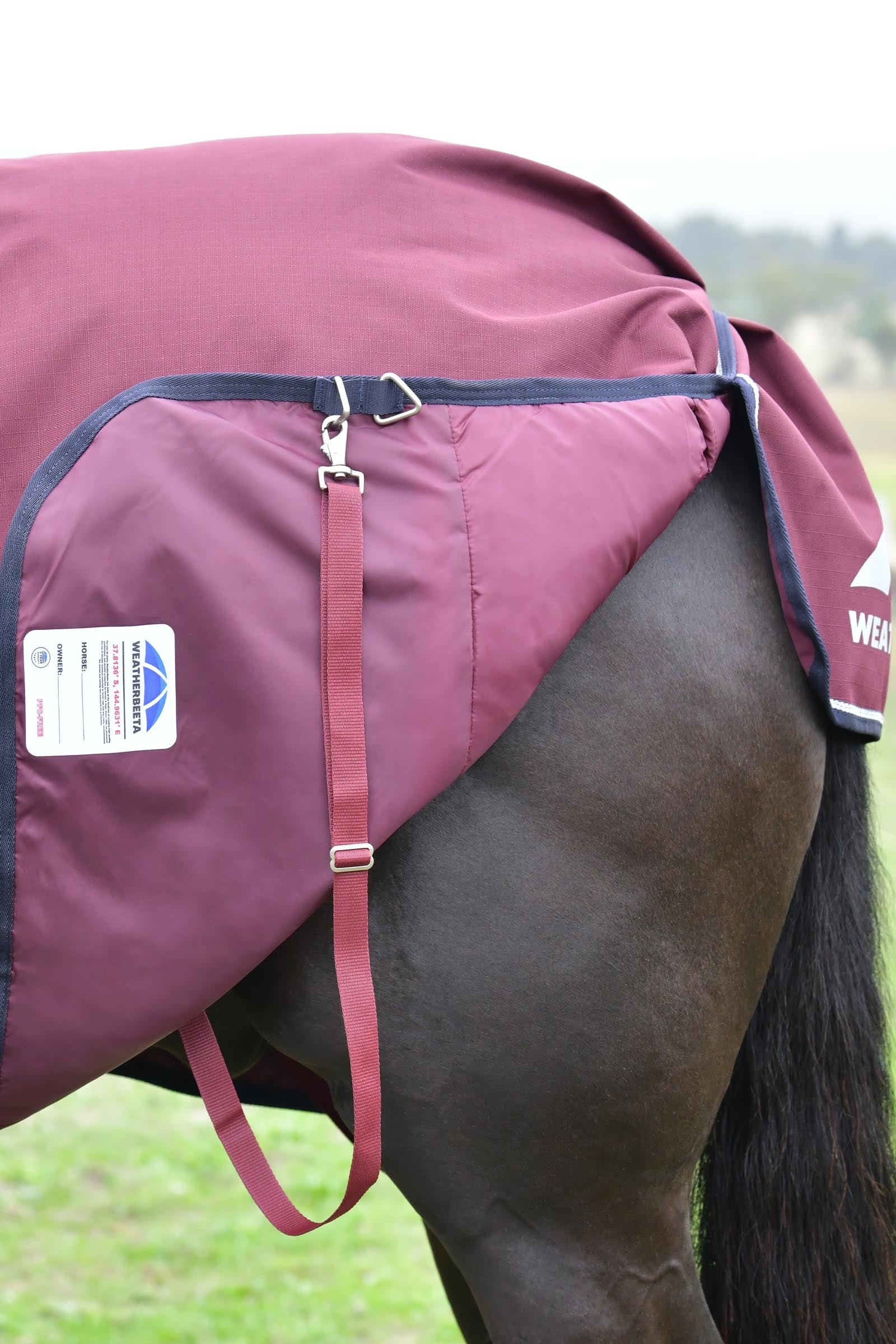 Weatherbeeta Comfitec Essential Turnout Rug With Fixed Neck, 220g Horse Rugs