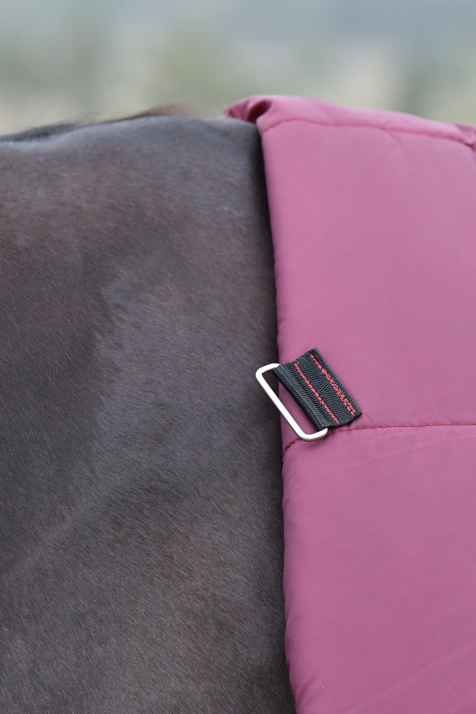 Weatherbeeta Comfitec Essential Turnout Rug With Fixed Neck, 220g Horse Rugs