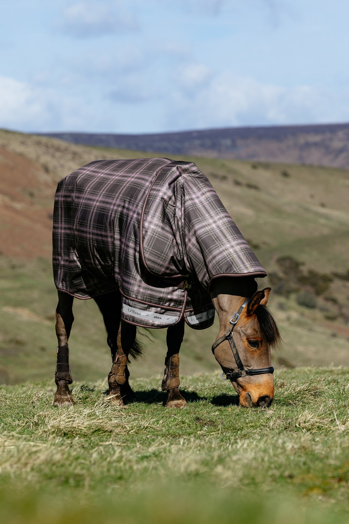 LeMieux Arika Heritage Check Turnout Rug, 100 g Horse Rugs