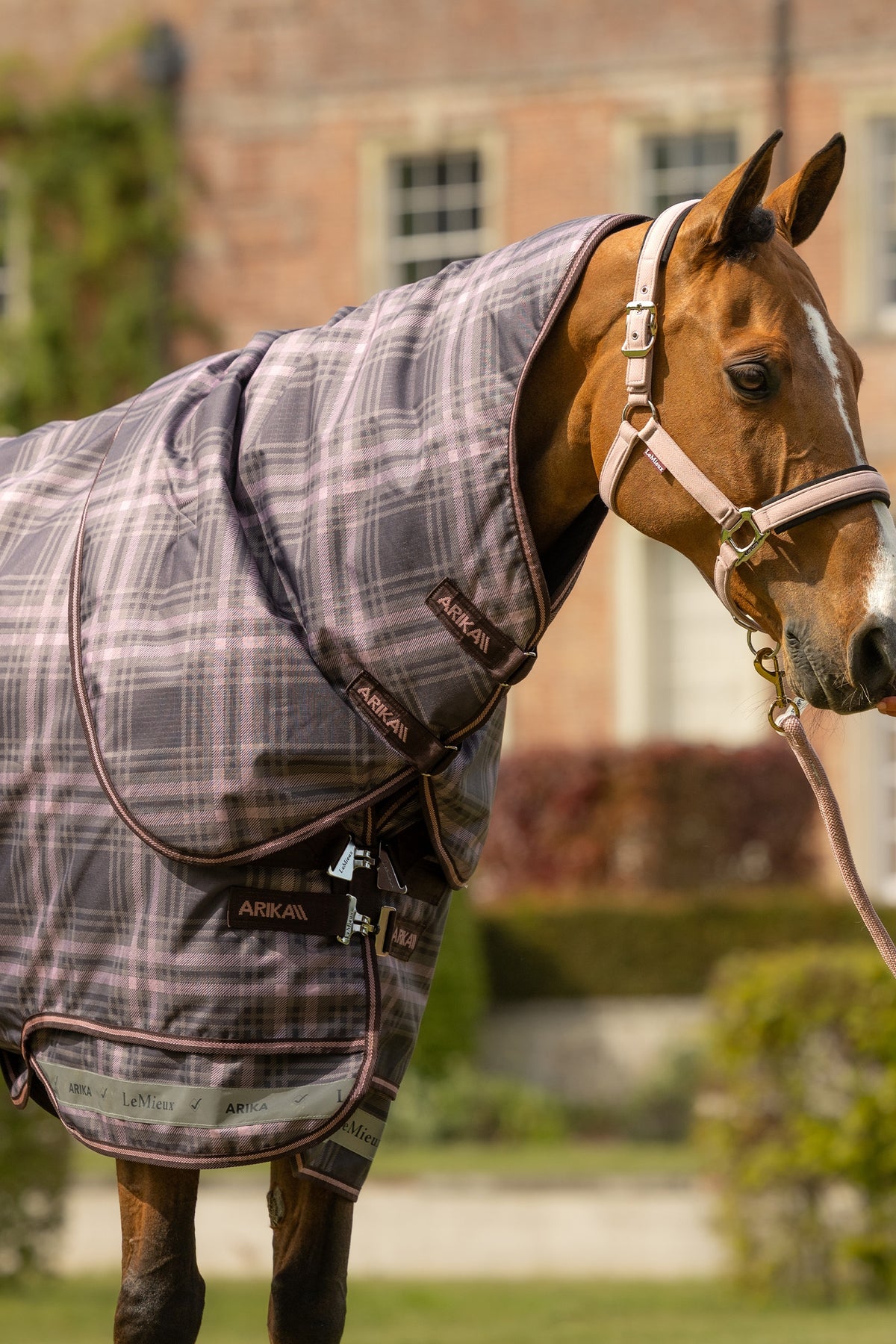 LeMieux Arika Heritage Check Turnout Rug, 100 g Horse Rugs