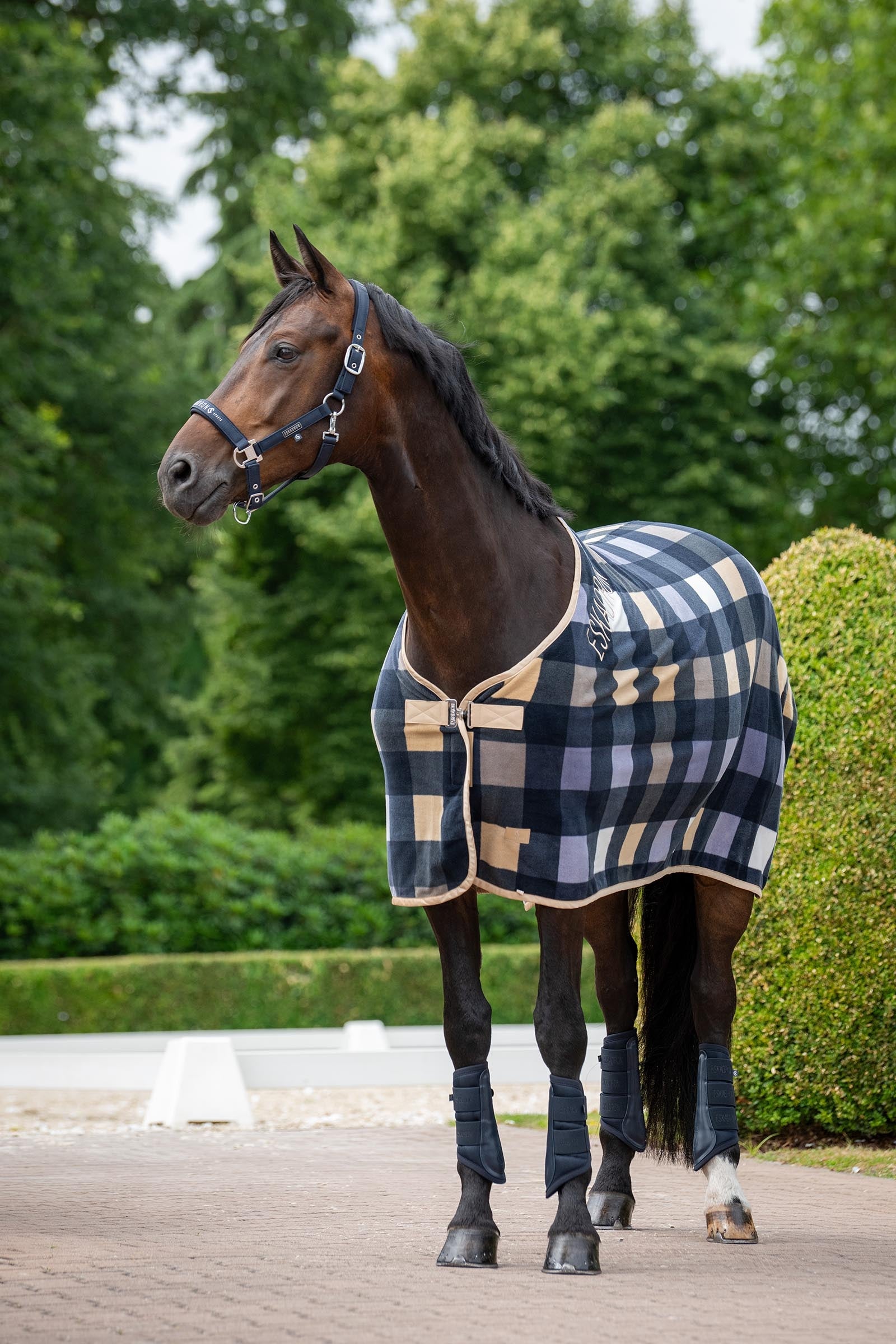 Eskadron Classic Sport SS26 Sparkle Double Pin Headcollar Halters & Leads