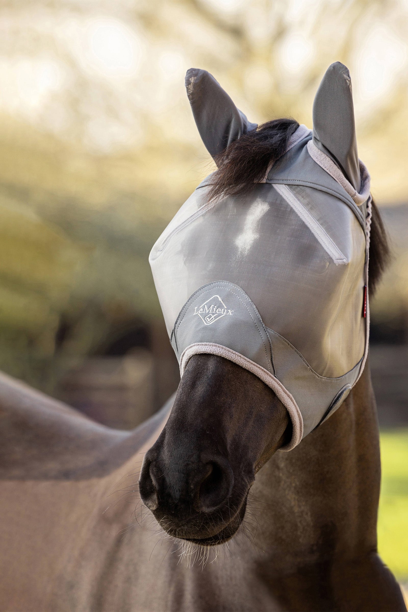 Lifestyle shot 2