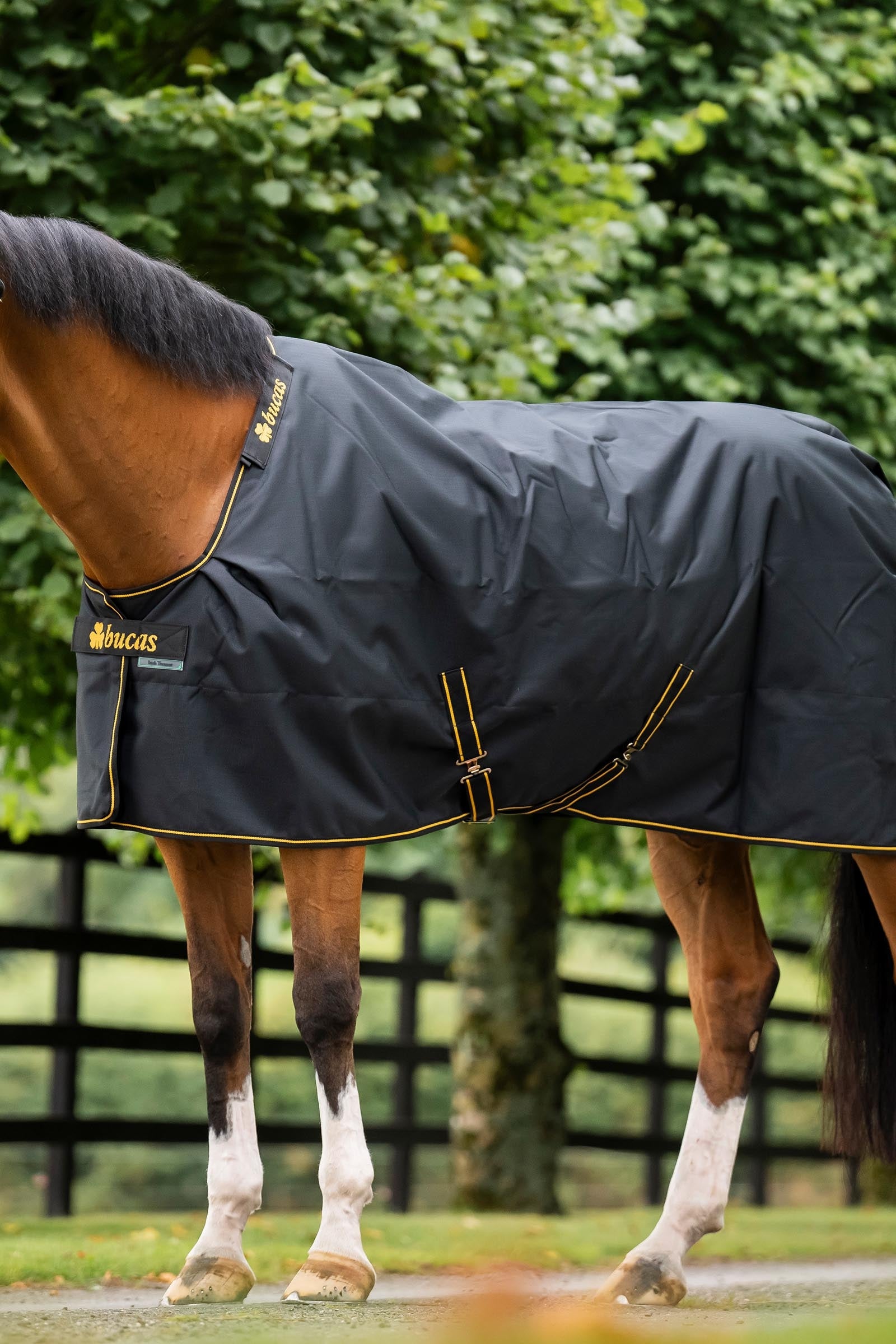 Bucas Irish Turnout Big Neck, 50g Horse Rugs
