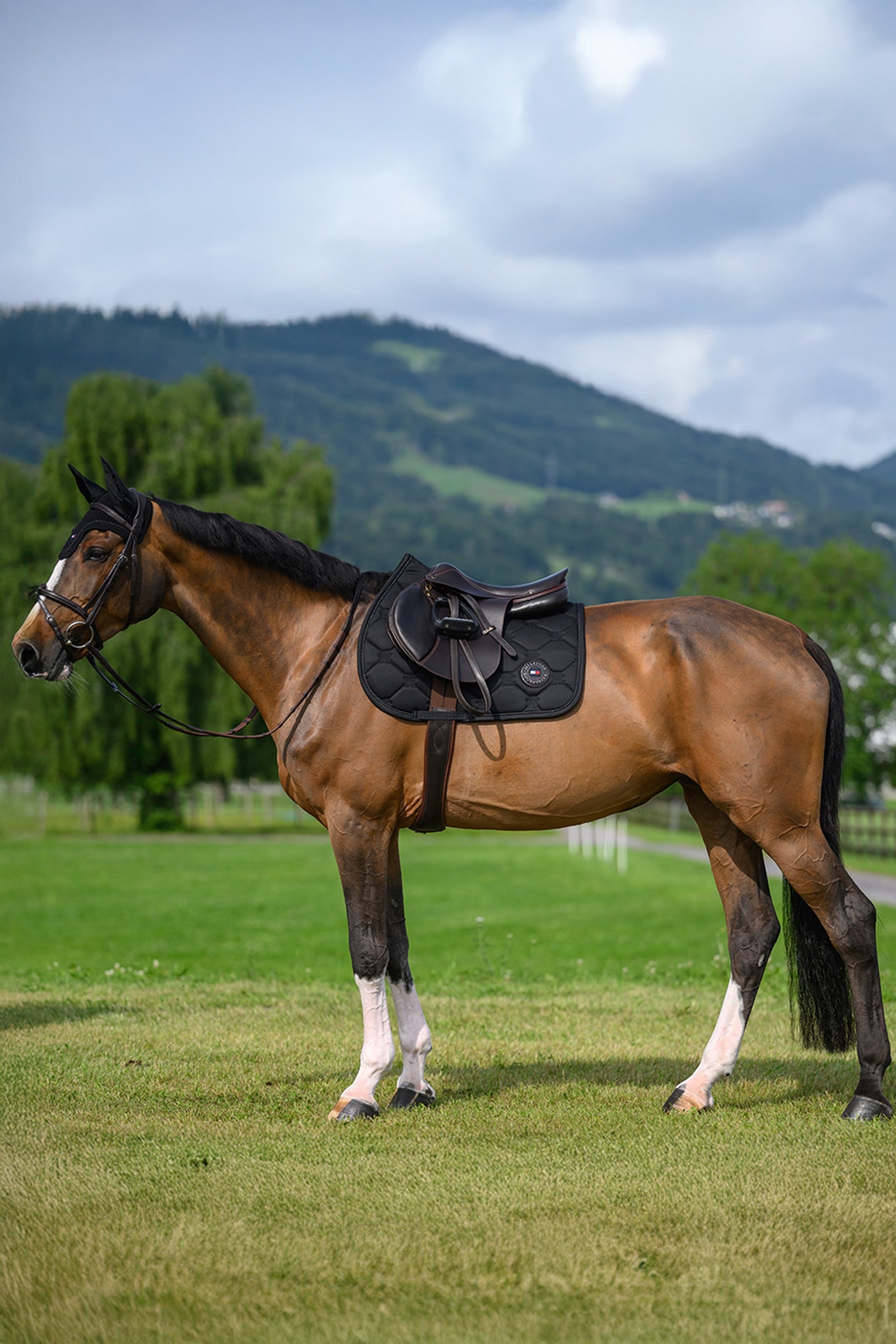 Tommy Hilfiger Equestrian Liberty Jumping Saddle Pad Saddle Pads