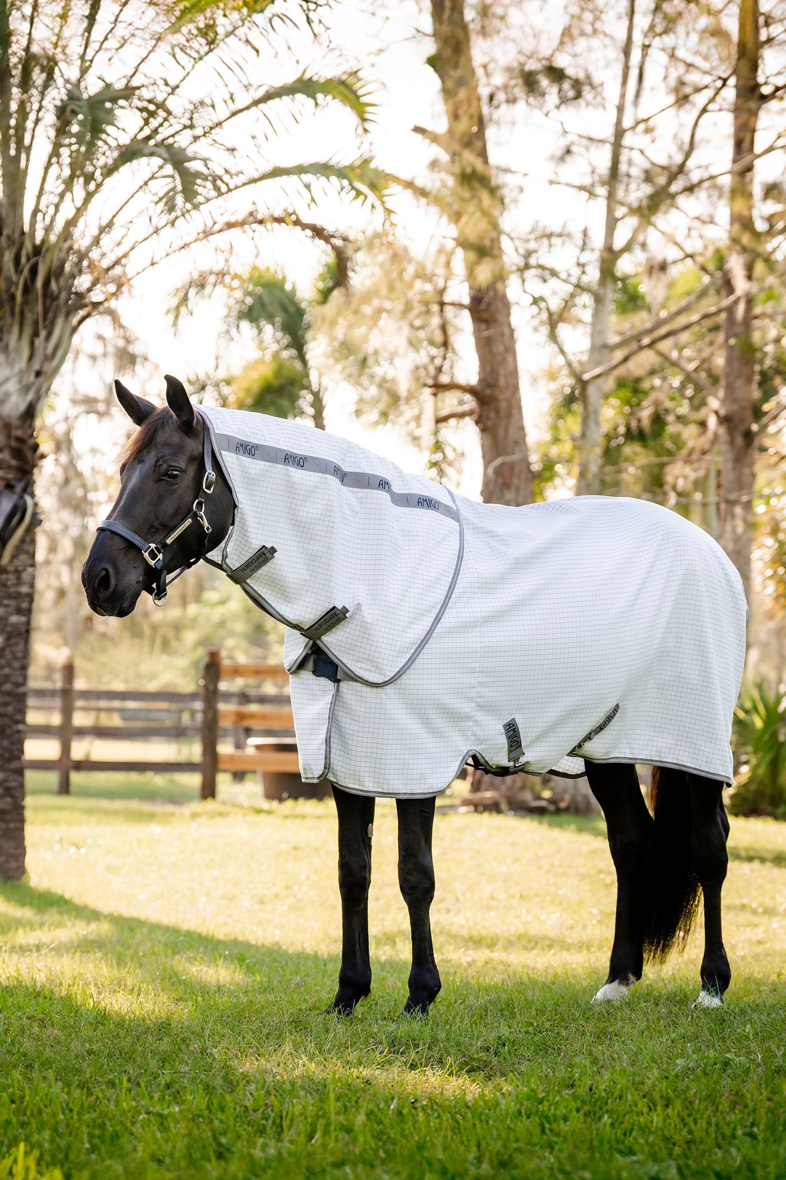 Horseware Amigo Summer Sheet Plus Horse Rugs