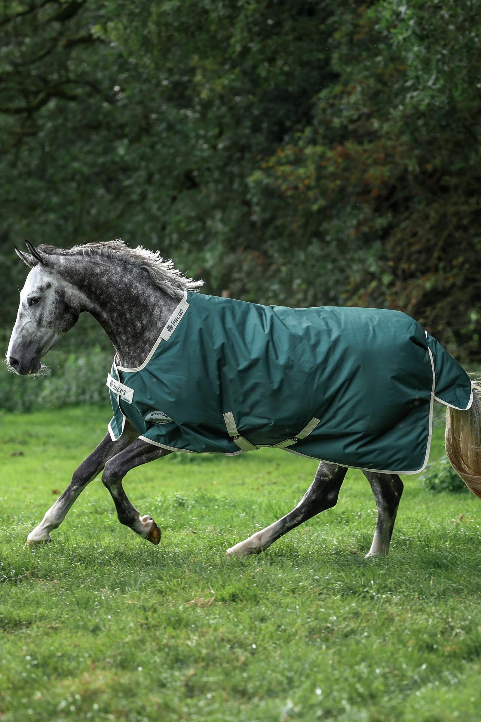 Lifestyle shot 2