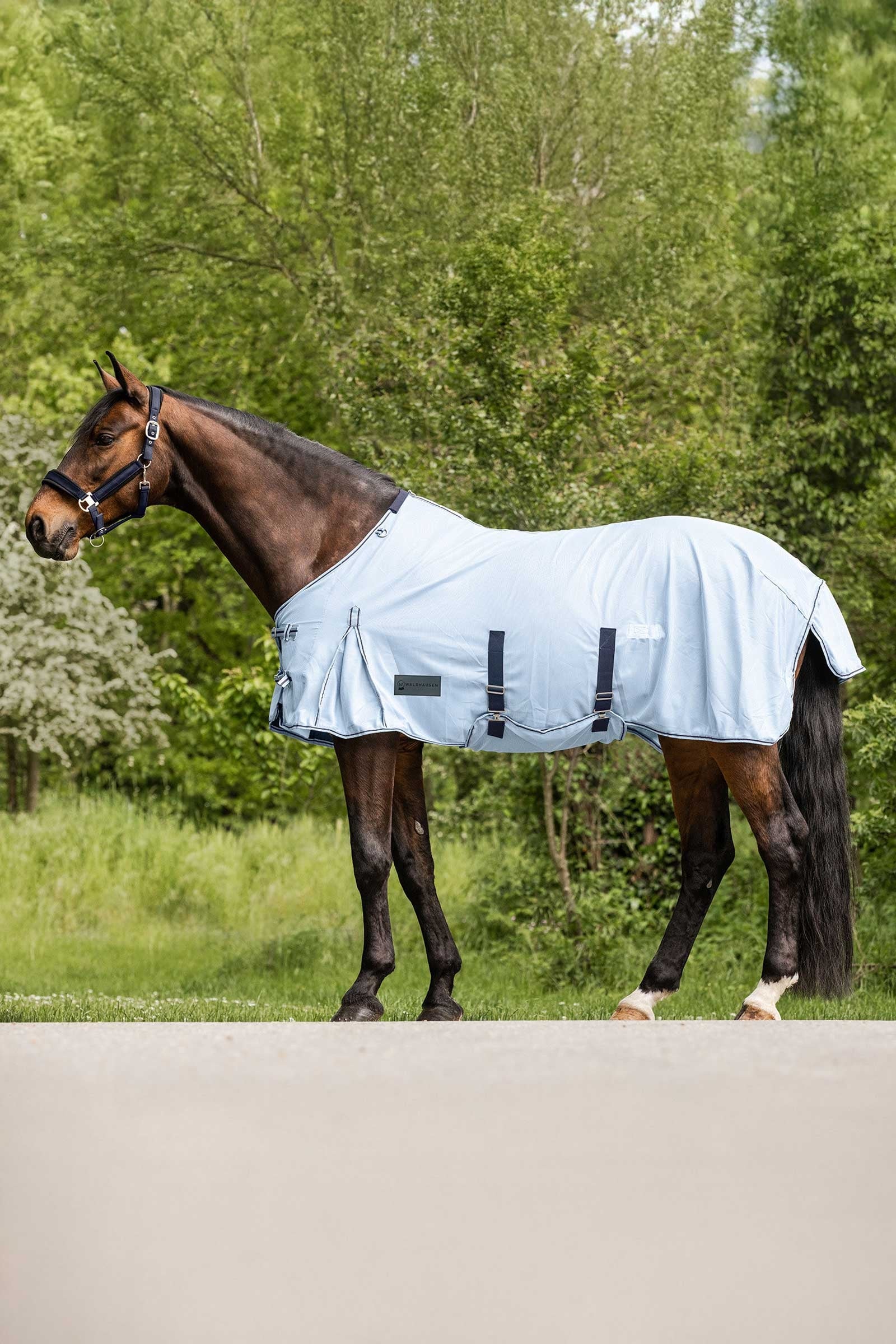 Waldhausen Protect Fly Rug Horse Rugs