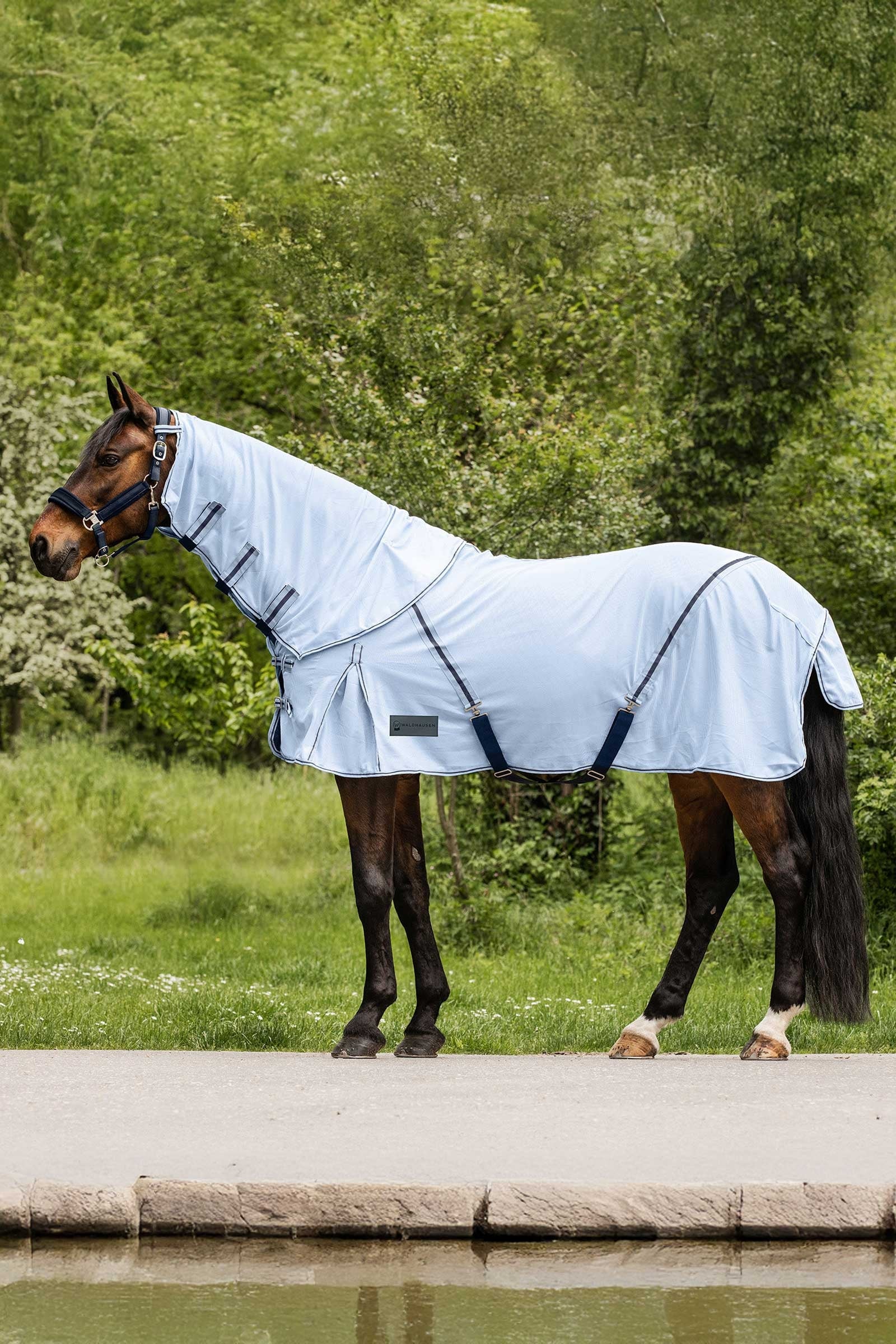 Waldhausen Protect Fly Rug With Detachable Neck Horse Rugs