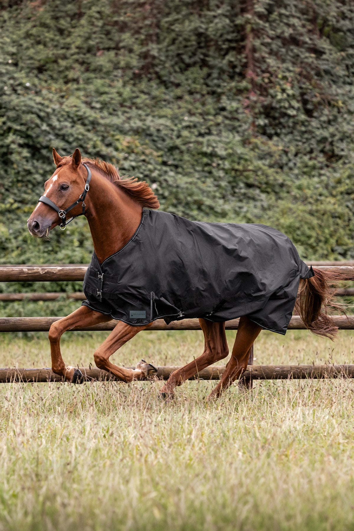 Waldhausen NORDIC Outdoor Rug with Fleece Horse Rugs