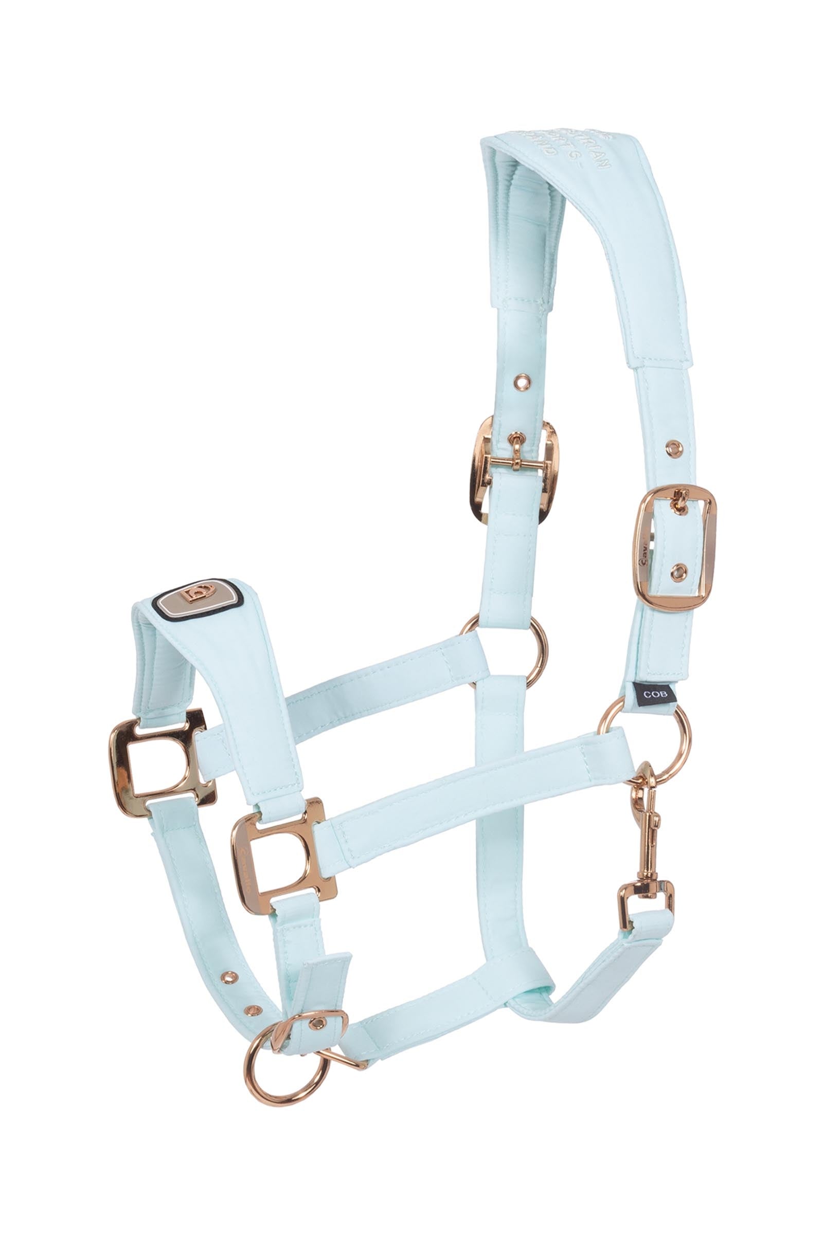 Cavallo CAVALPAWEL Halter Halters & Leads